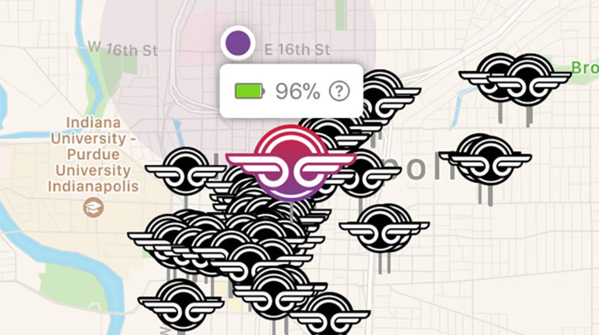 استارتاپ bird