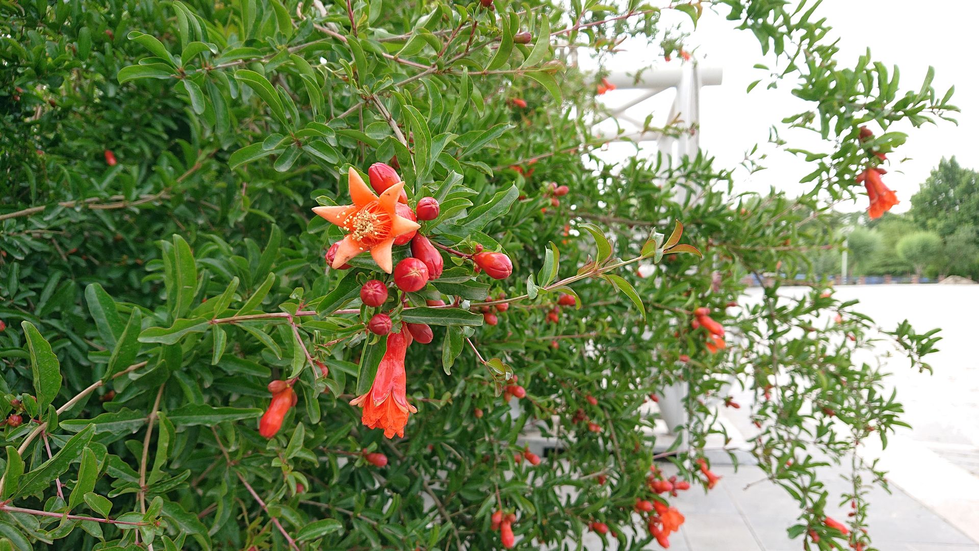 نمونه تصاویر ثبت‌شده با اکسپریا ایکس‌ زد ۲ کامپکت