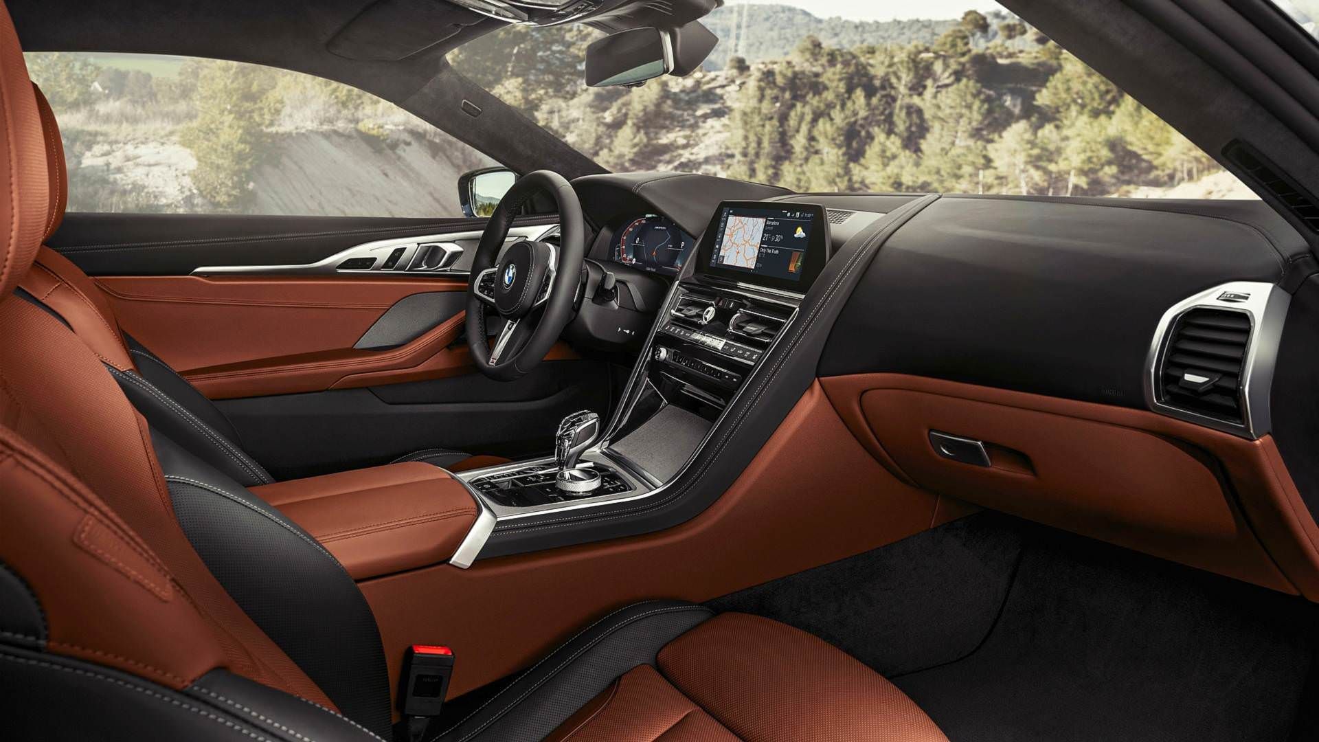 2019 BMW 8 Series coupe / بی‌ام‌و سری 8 مدل 2019