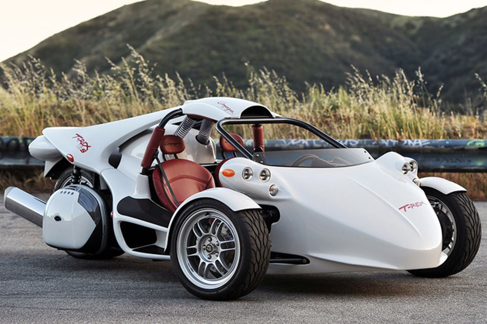 Campagna T-Rex