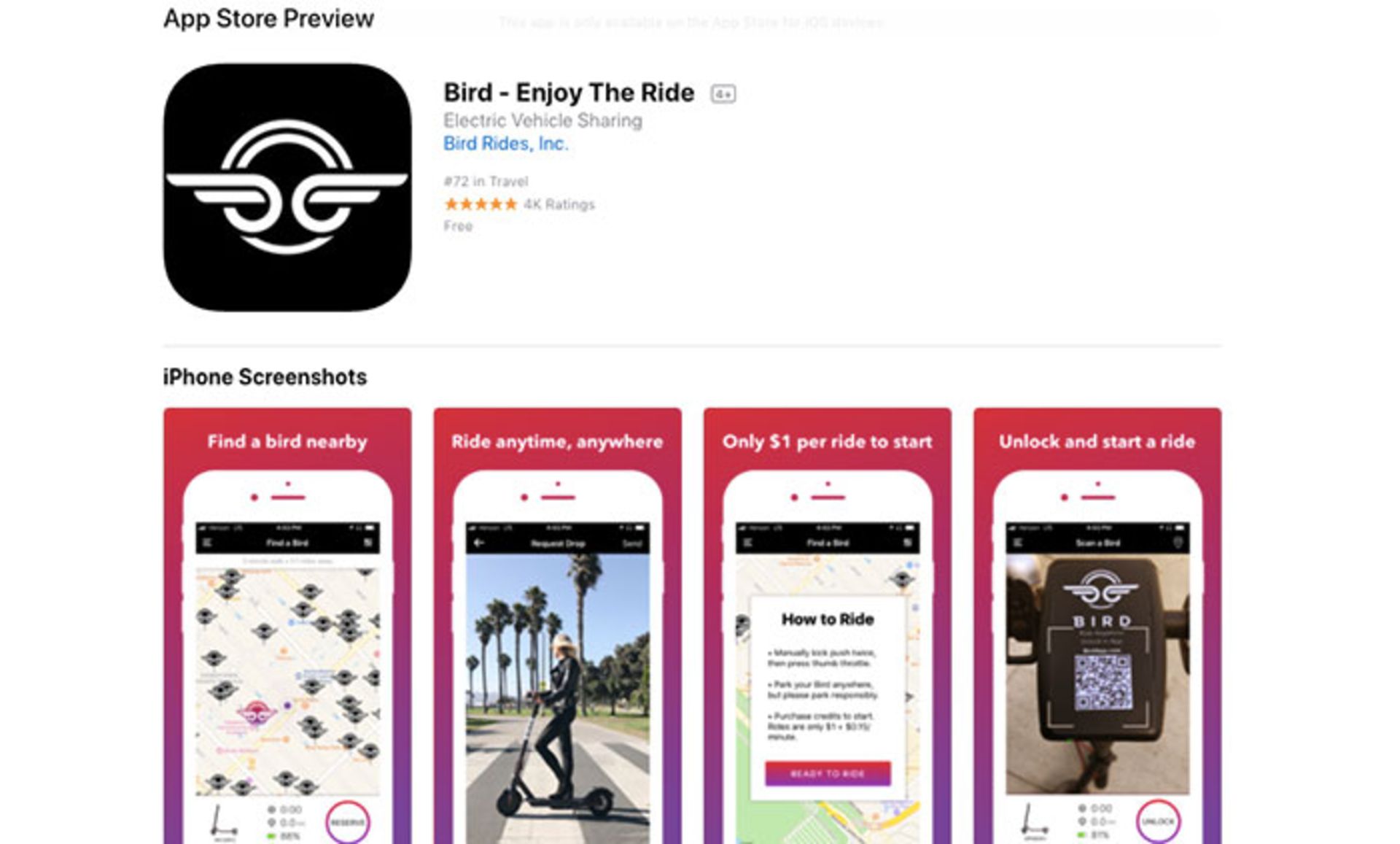 استارتاپ bird