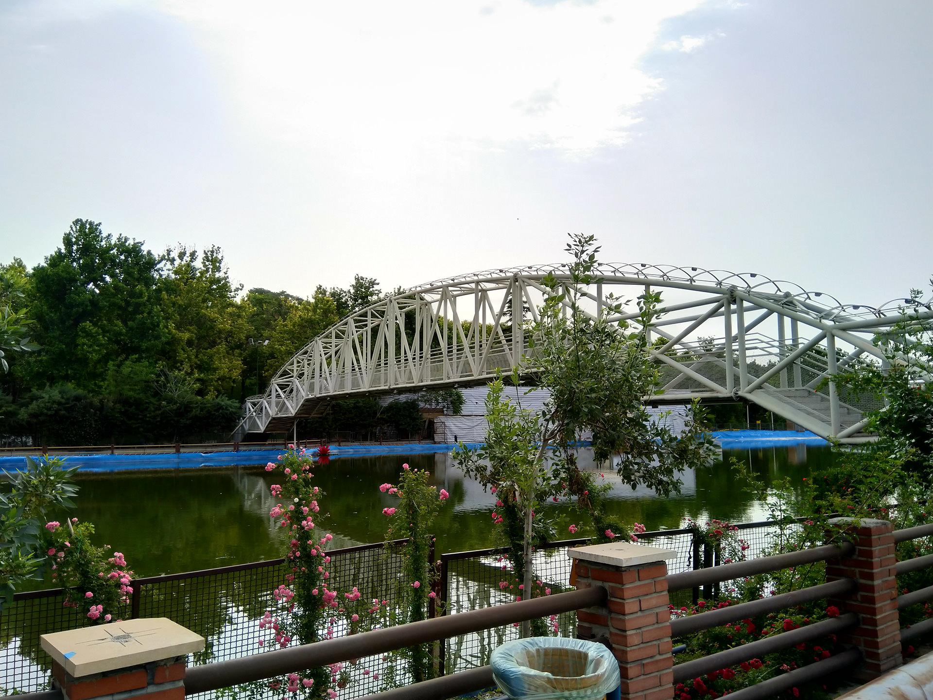 نمونه تصویر