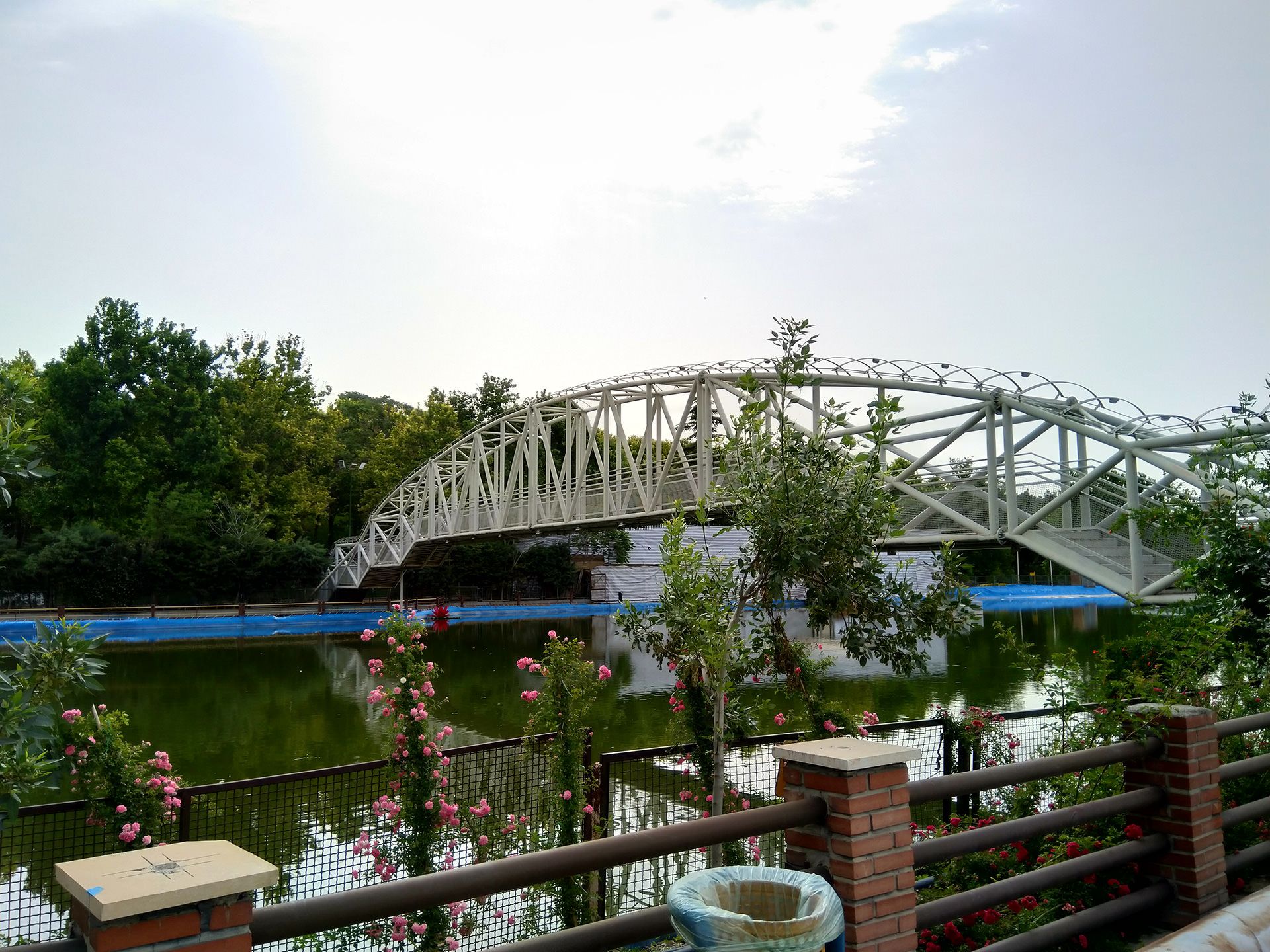 نمونه تصویر