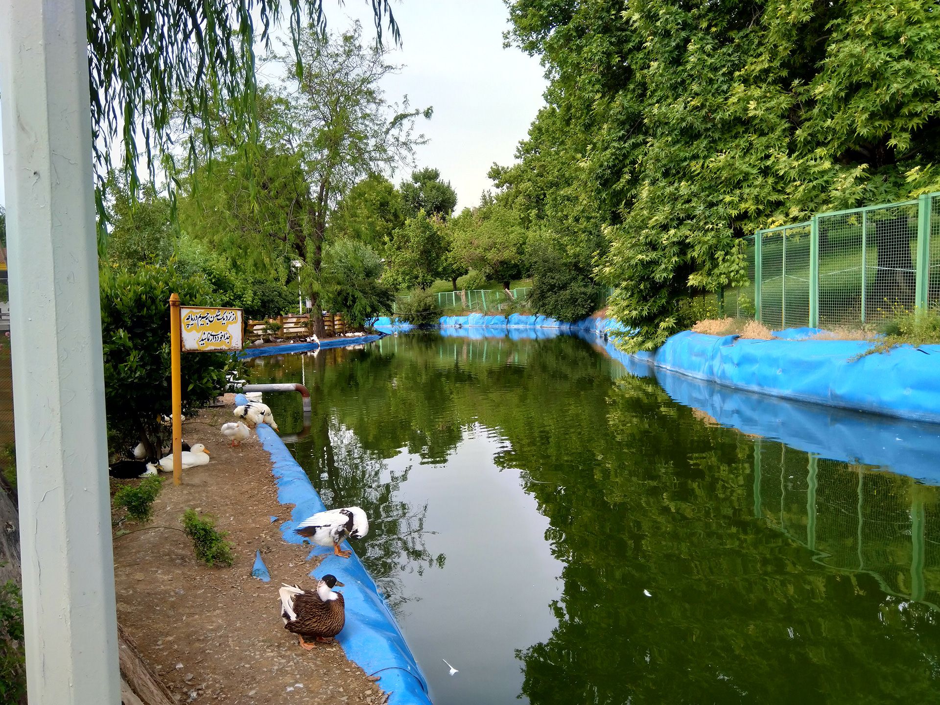 نمونه تصویر