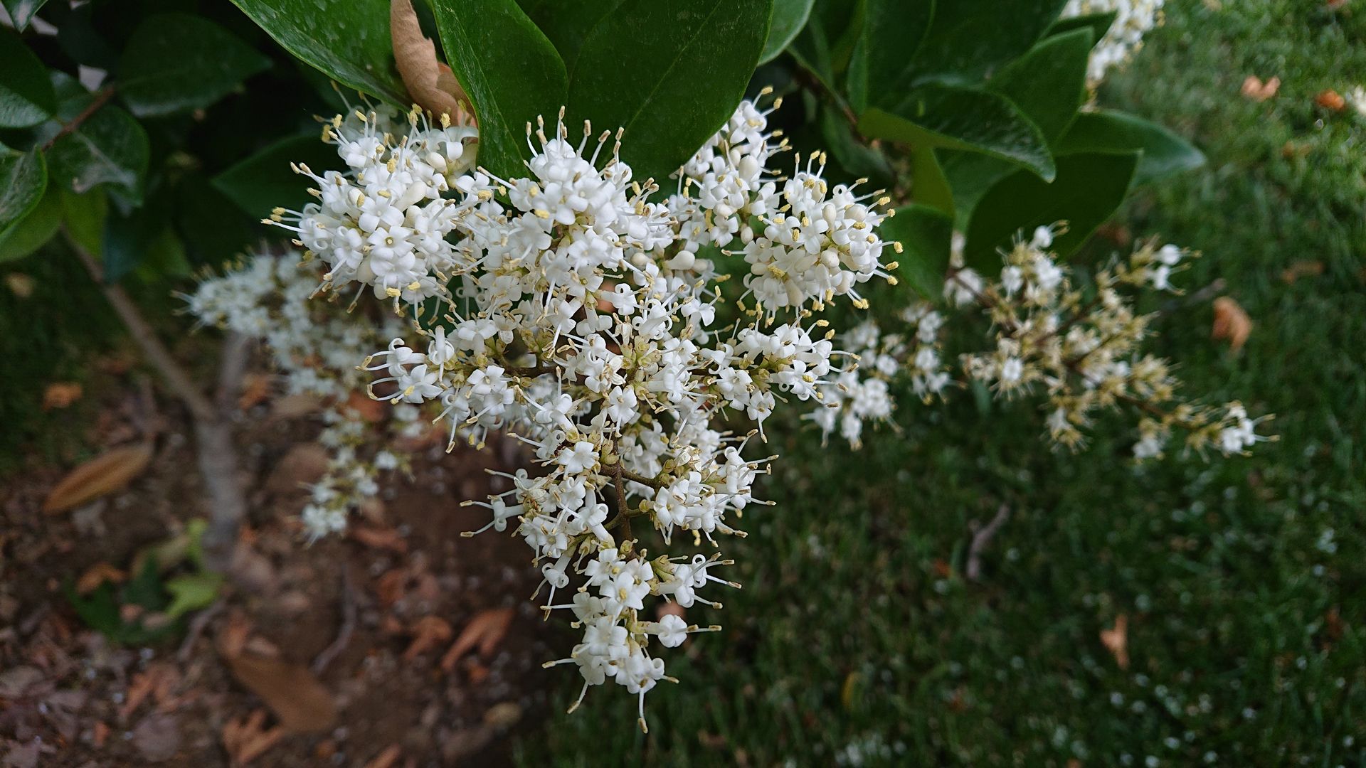 نمونه تصاویر ثبت‌شده با اکسپریا ایکس‌ زد ۲ کامپکت