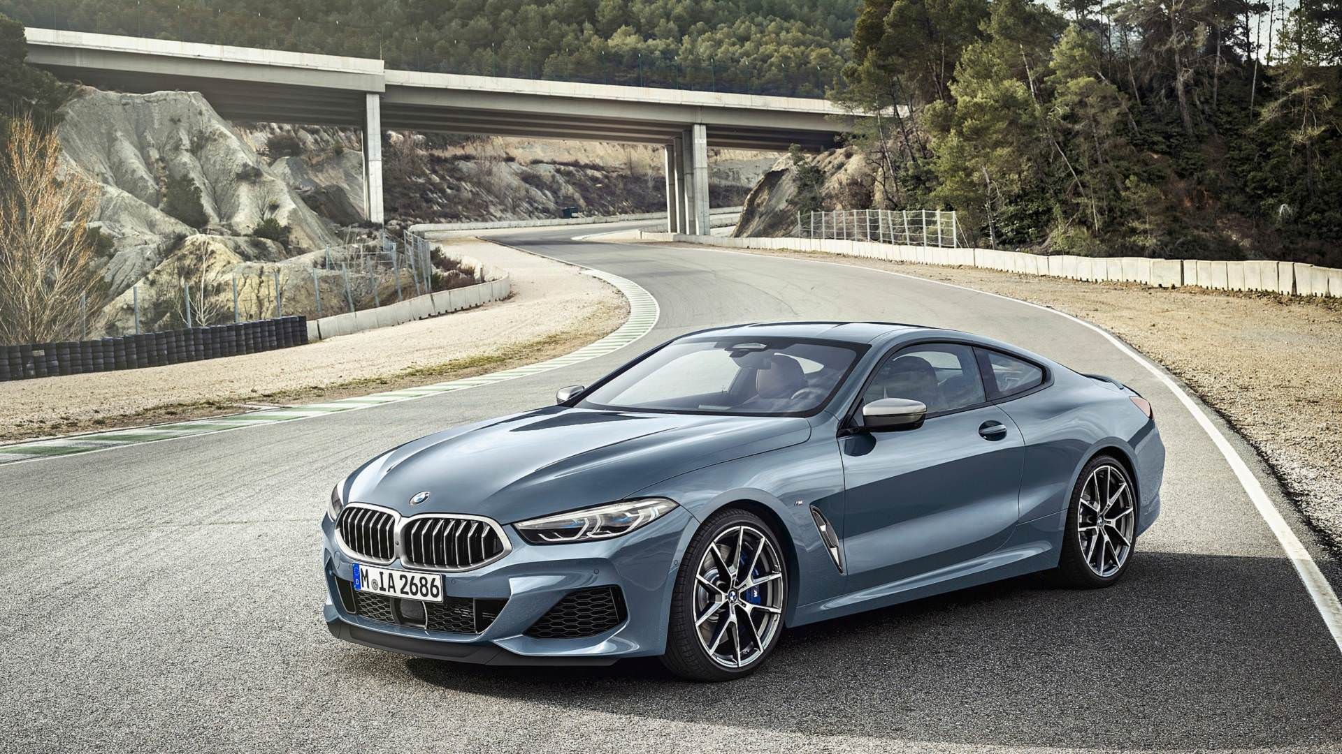 2019 BMW 8 Series coupe / بی‌ام‌و سری 8 مدل 2019