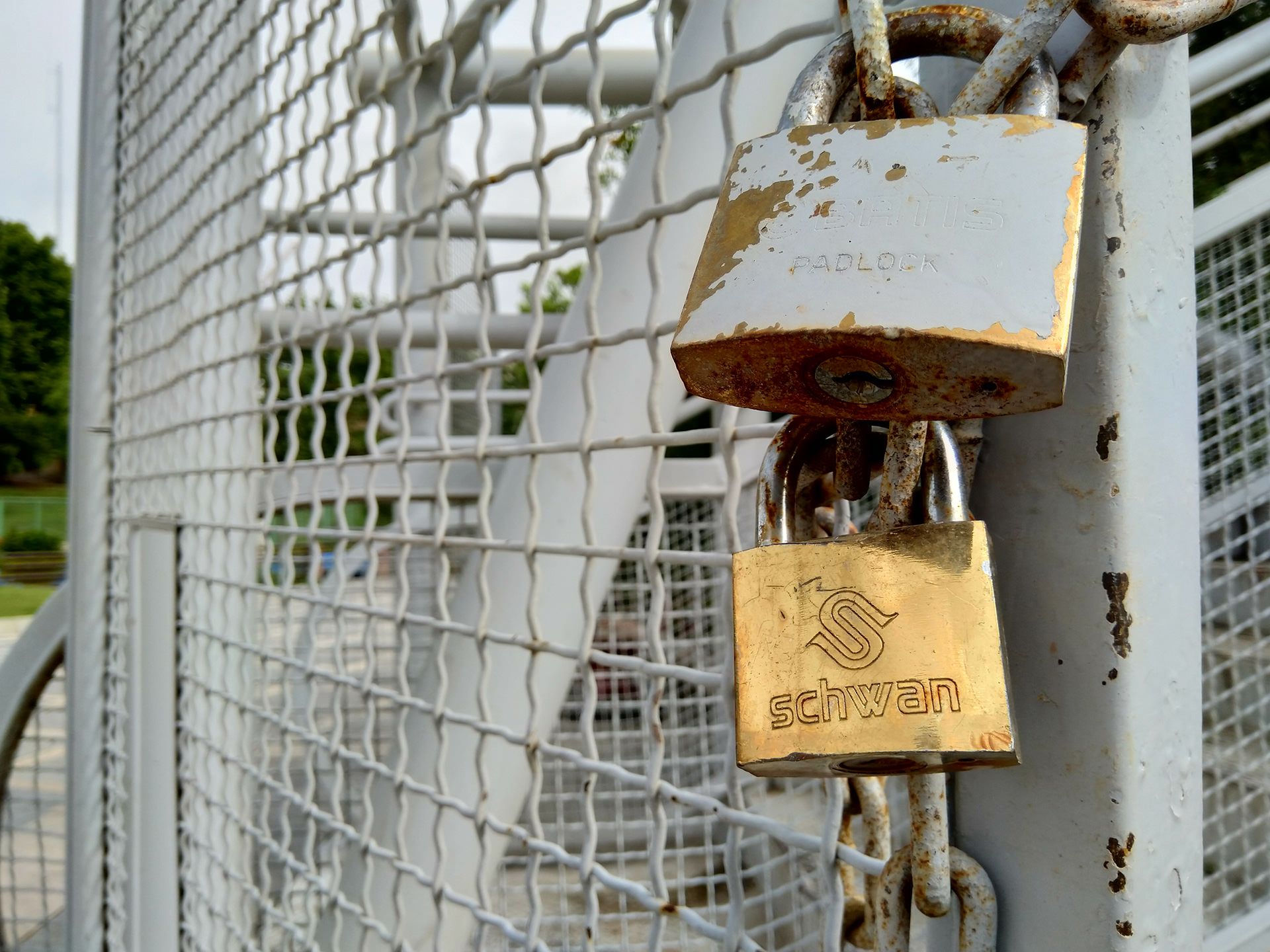 نمونه تصویر