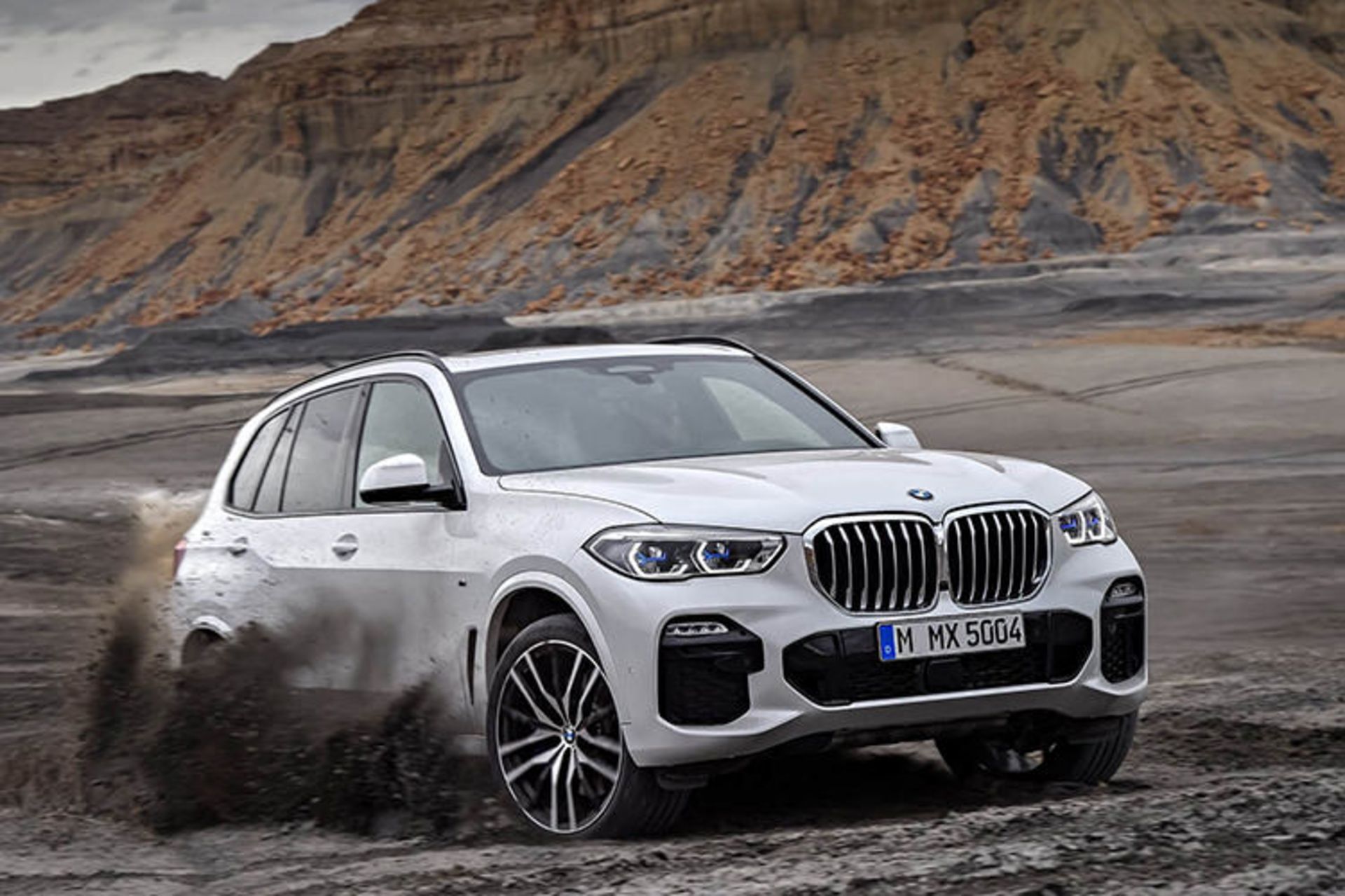 بی ام و / BMW X5 2019