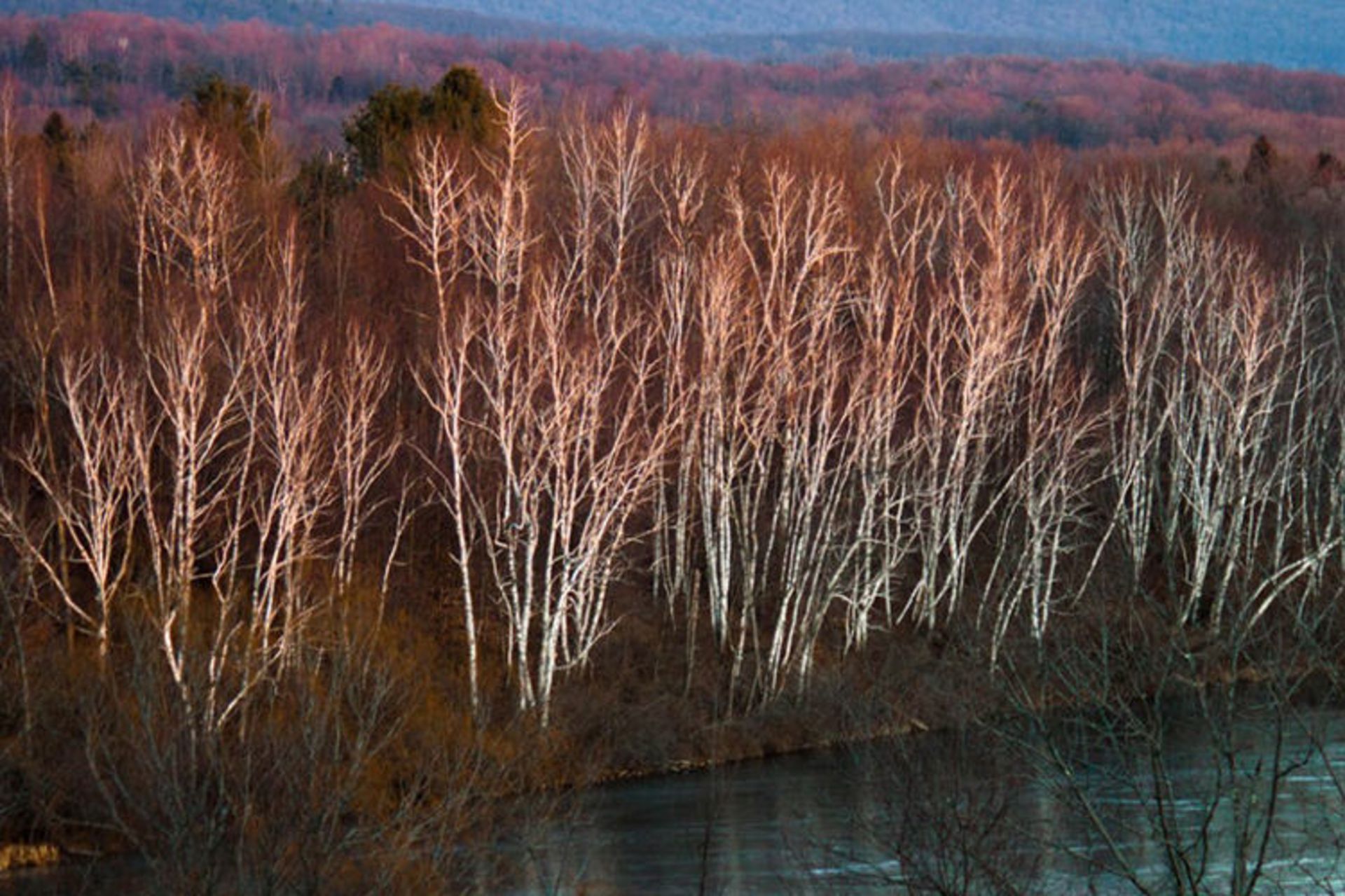 زمستان ورمانت