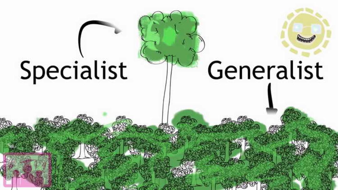 Generalists & Specialists