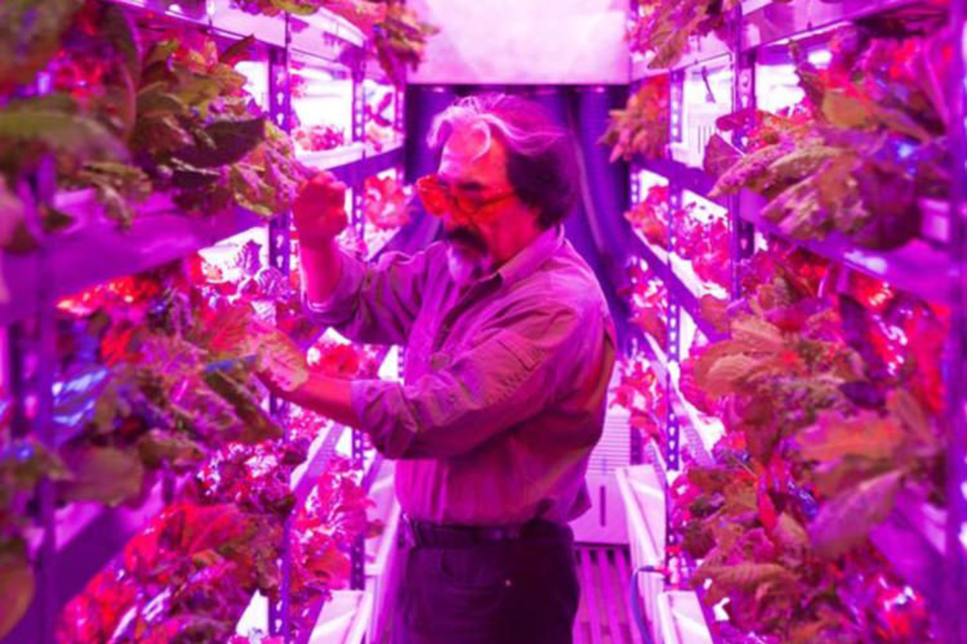 vertical farm / مزرعه عمودی