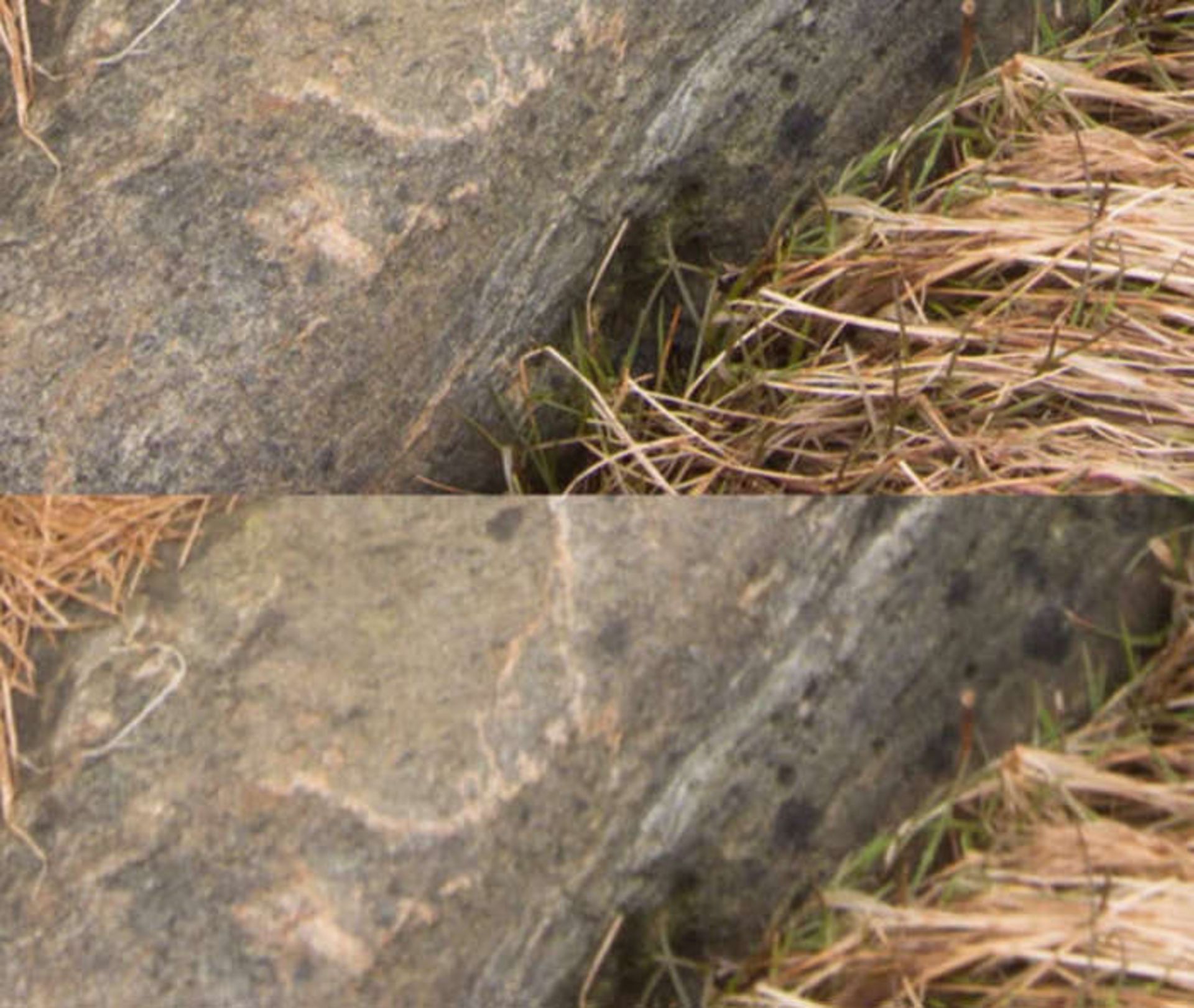 تنظیم فوکوس