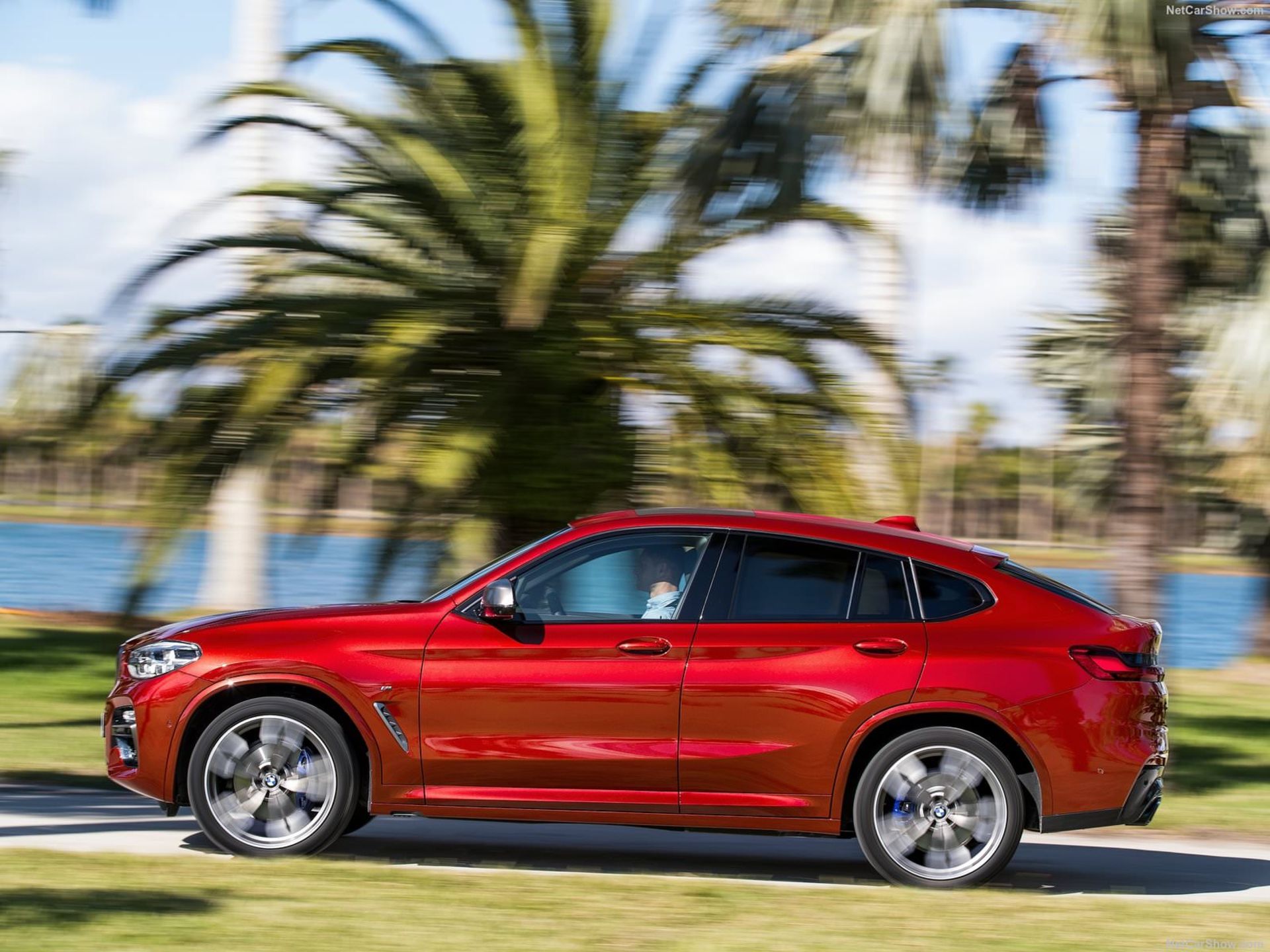 BMW X4 2019 / بی ام و X4