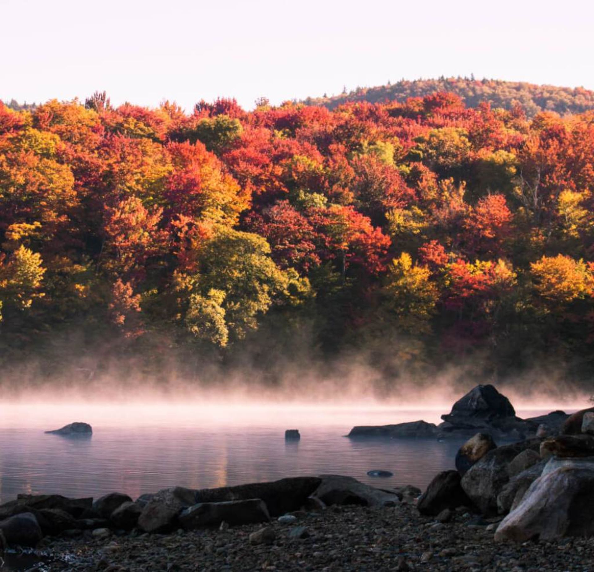 پاییز ورمانت