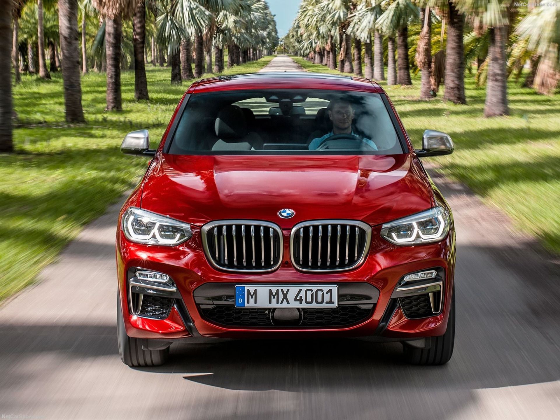 BMW X4 2019 / بی ام و X4