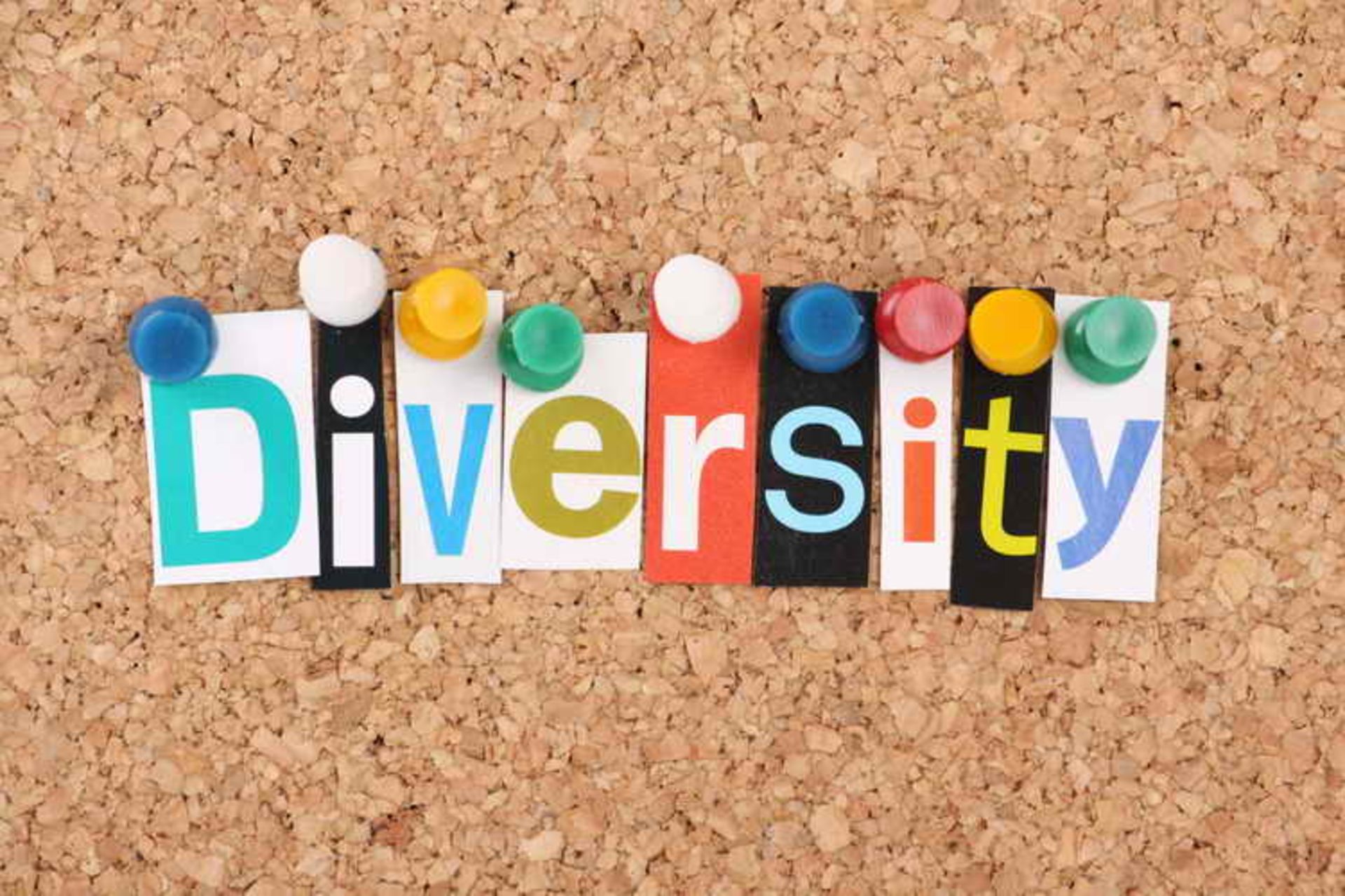 Cultural Diversity