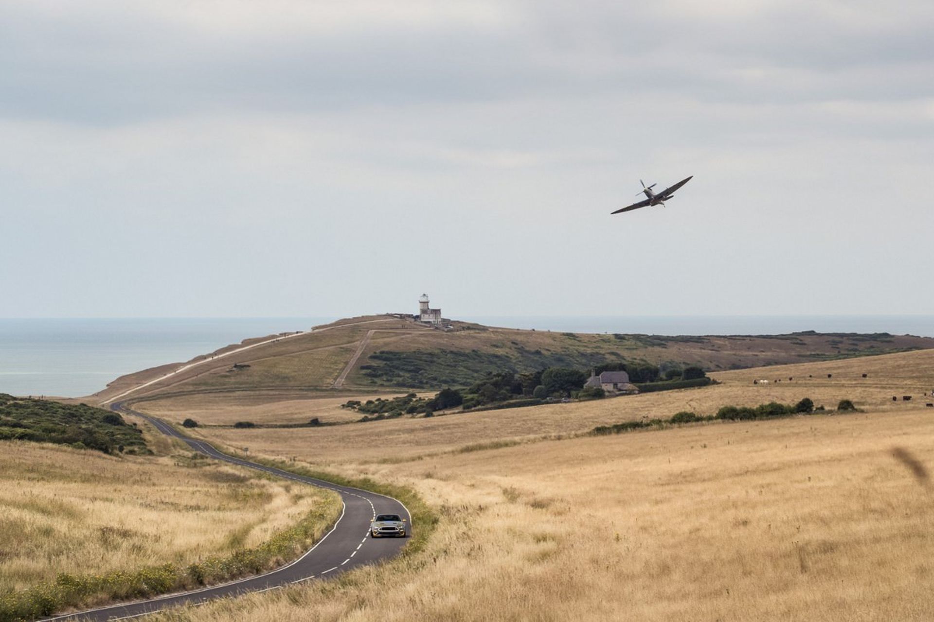 Eagle Squadron Mustang