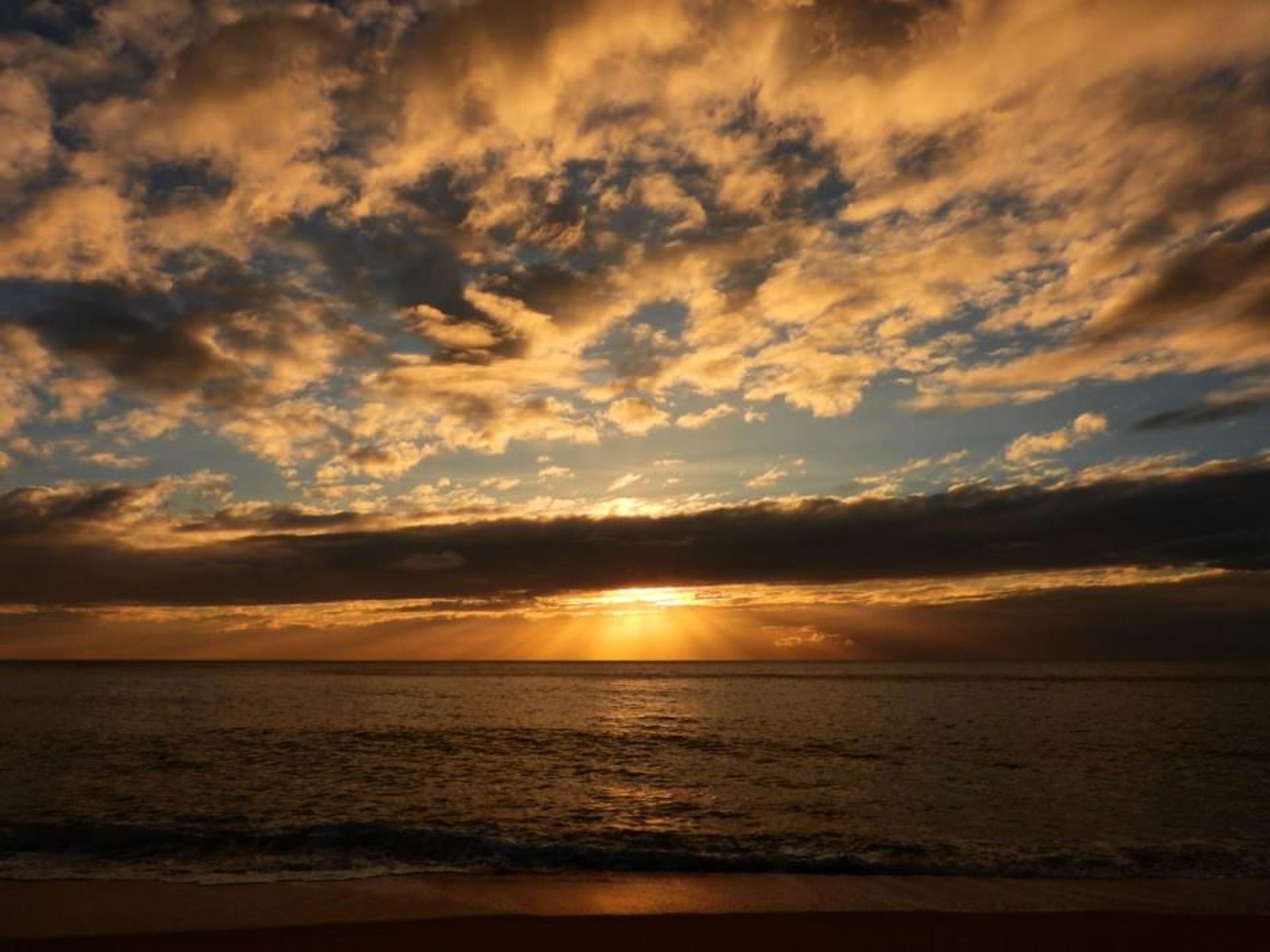 نمونه تصاویر دوربین نیکون P1000