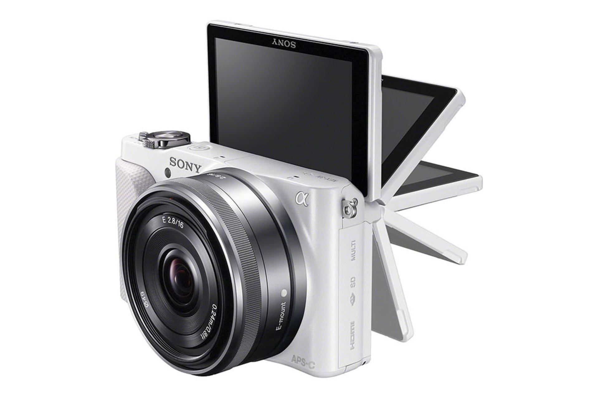 Sony Alpha NEX-3N	