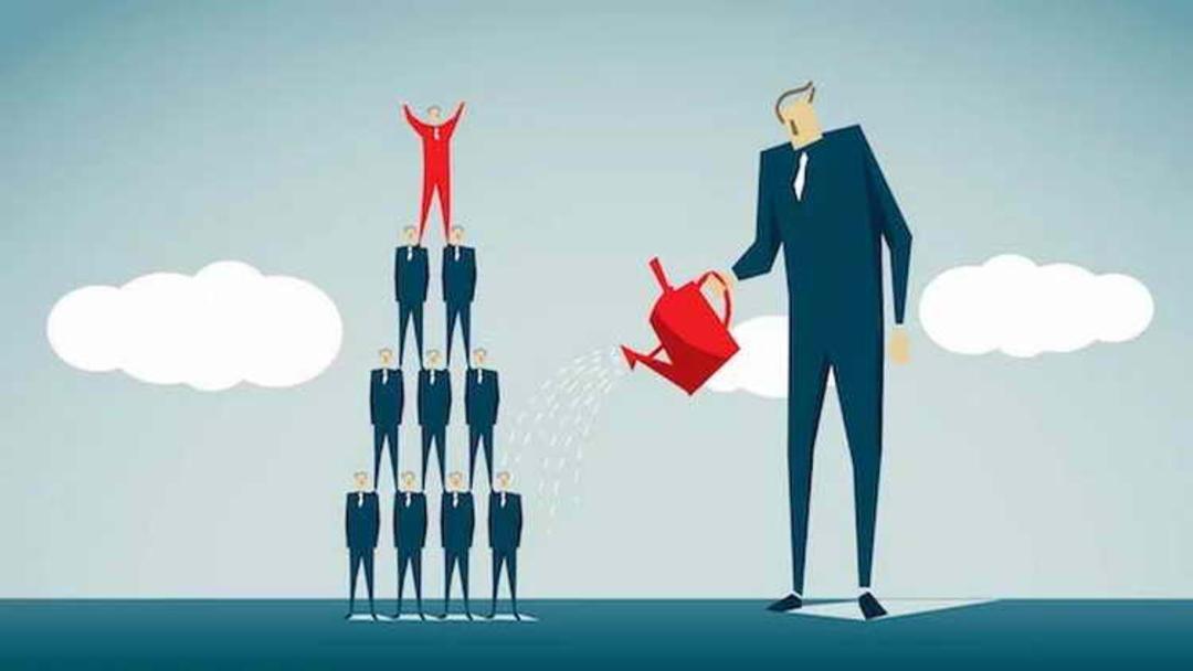 Empower Their Team