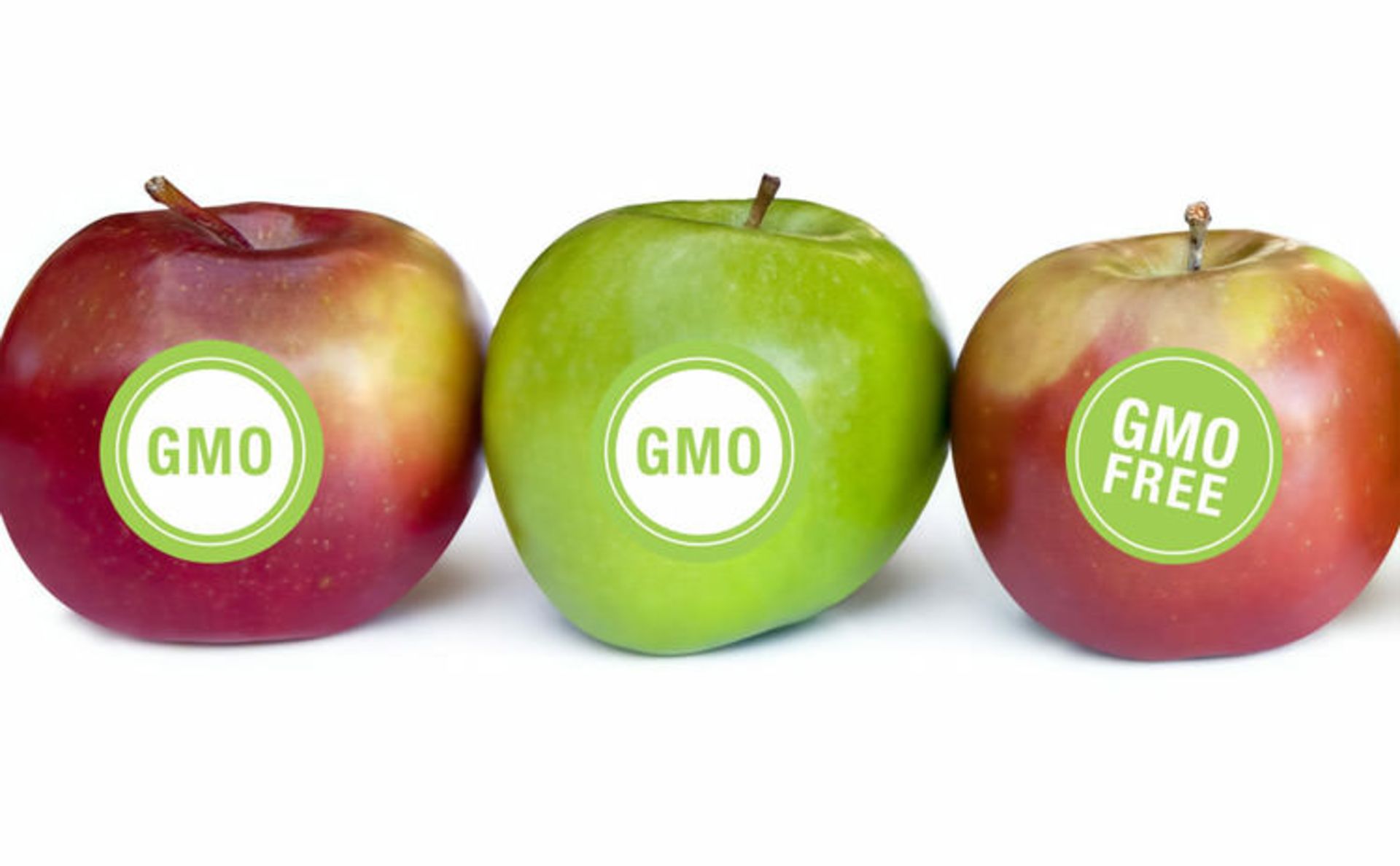 مرجع متخصصين ايران GMO / اصلاح ژنتيك گياهان
