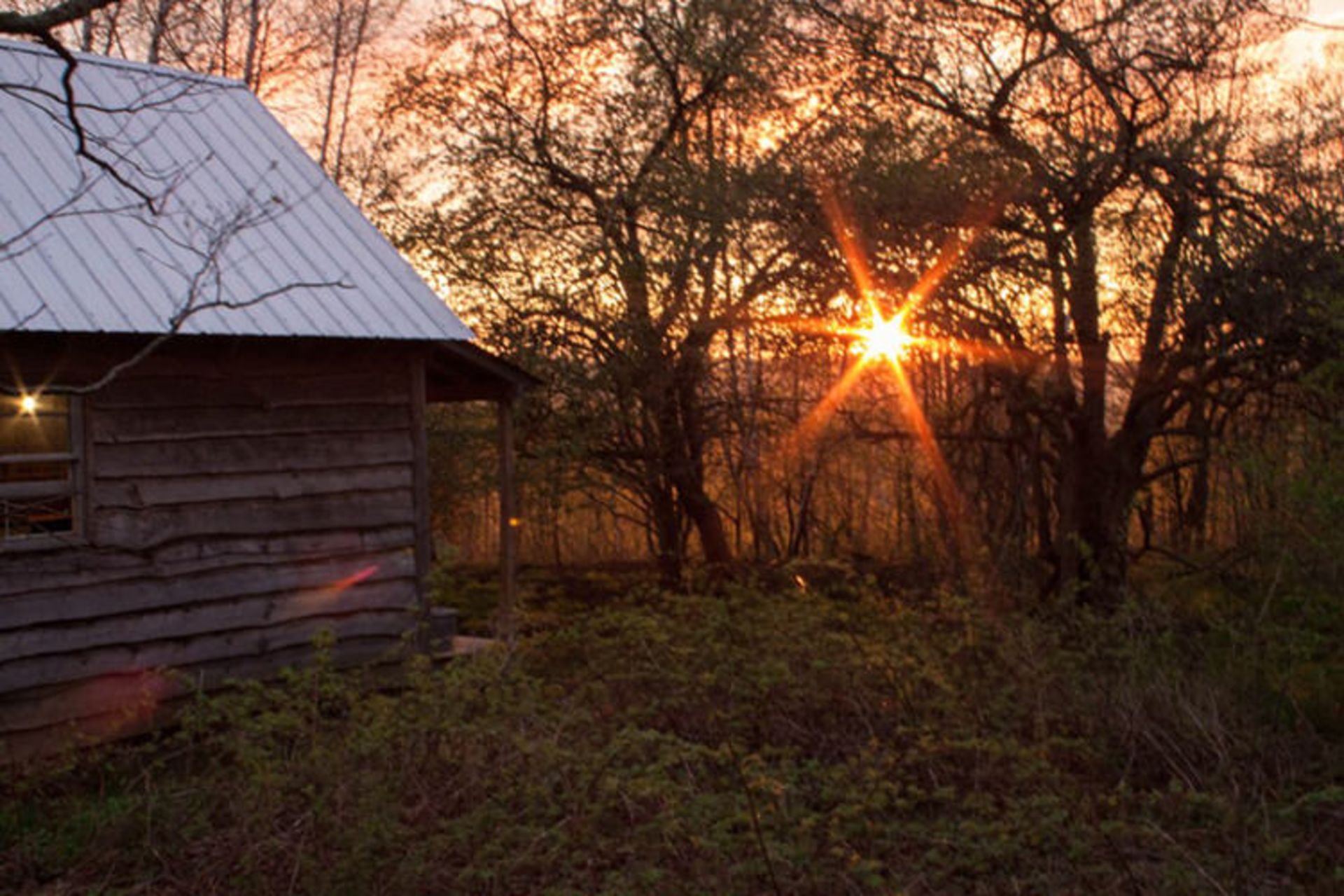 تابستان ورمانت