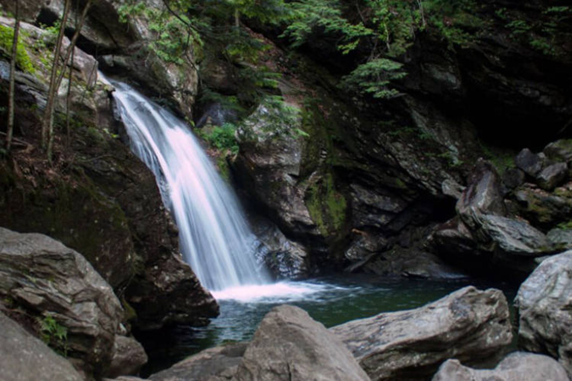 تابستان ورمانت