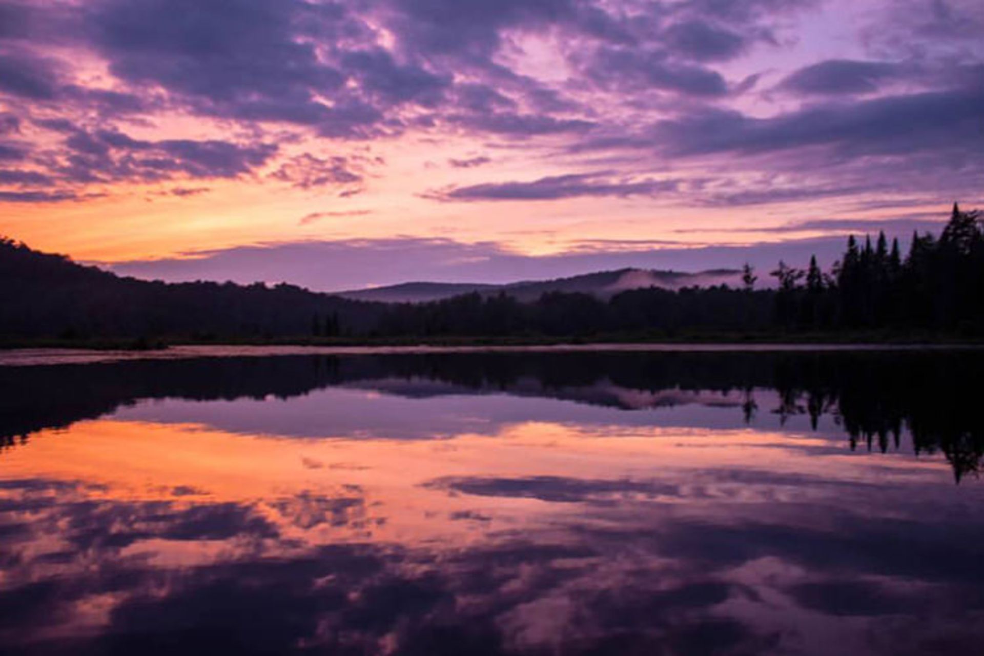 تابستان ورمانت