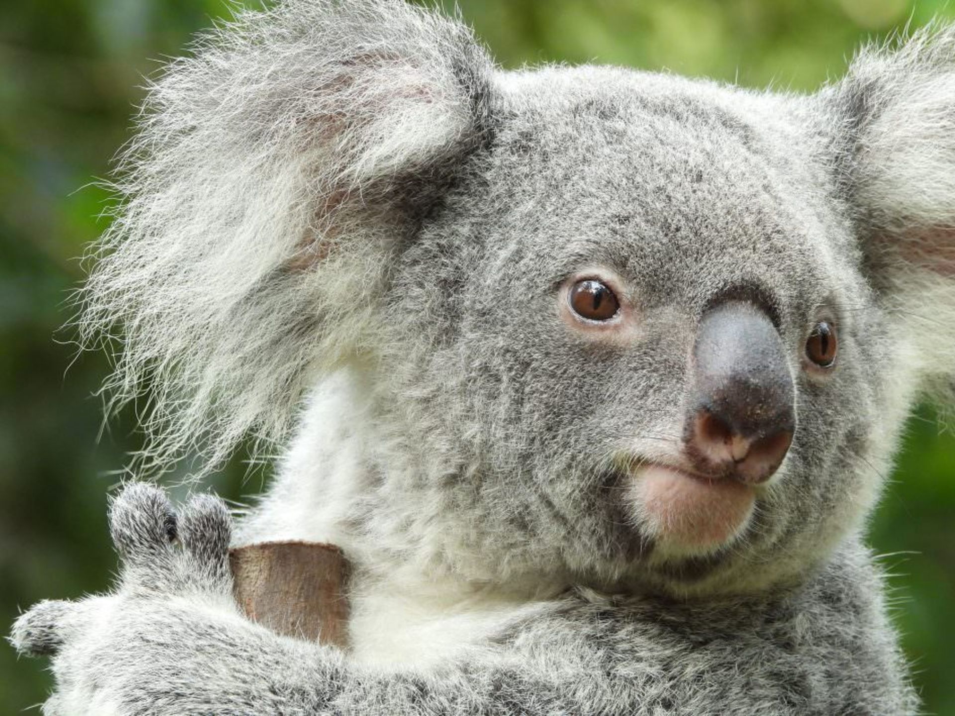 نمونه تصاویر دوربین نیکون P1000