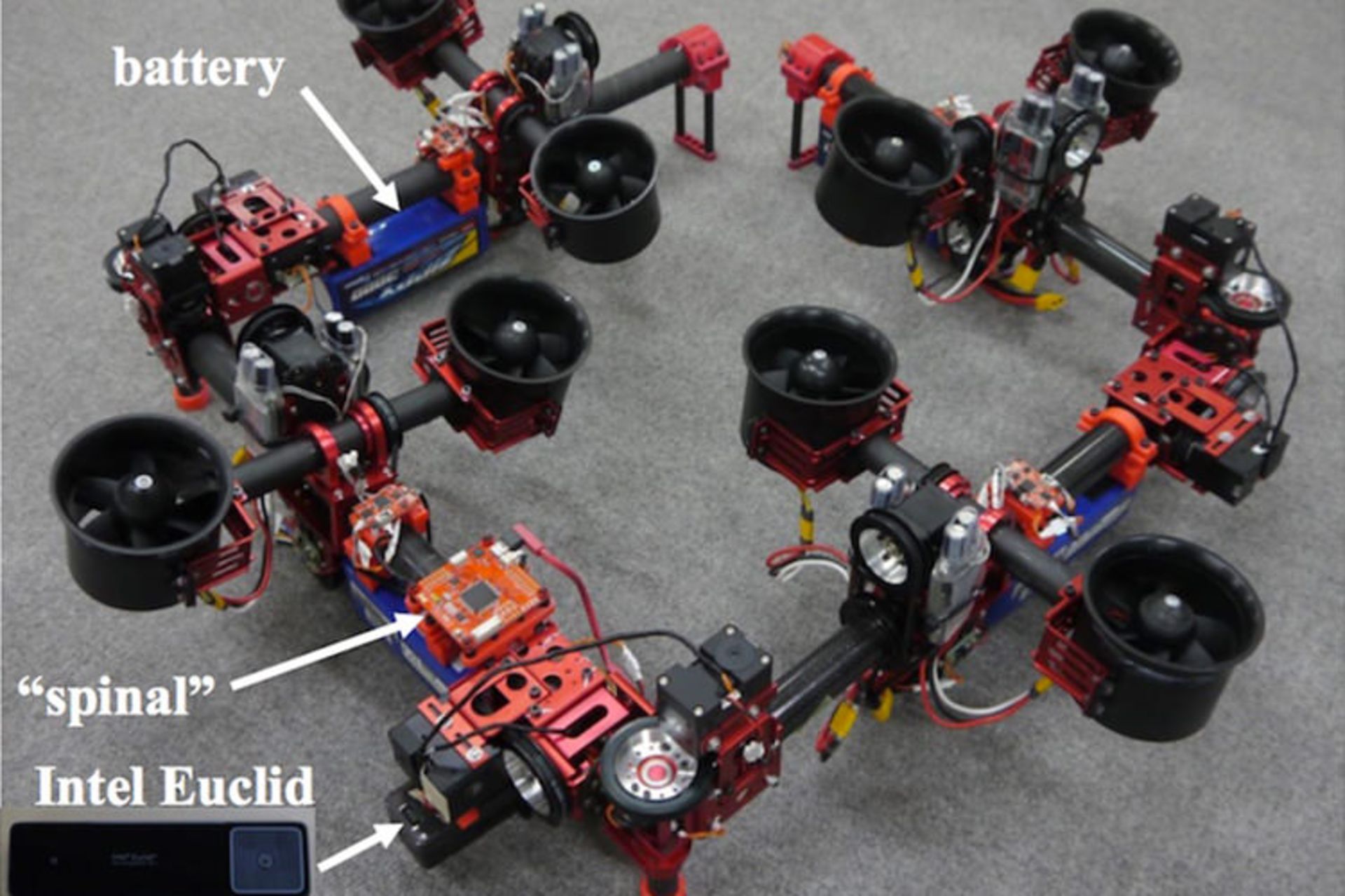 دراگون / DRAGON