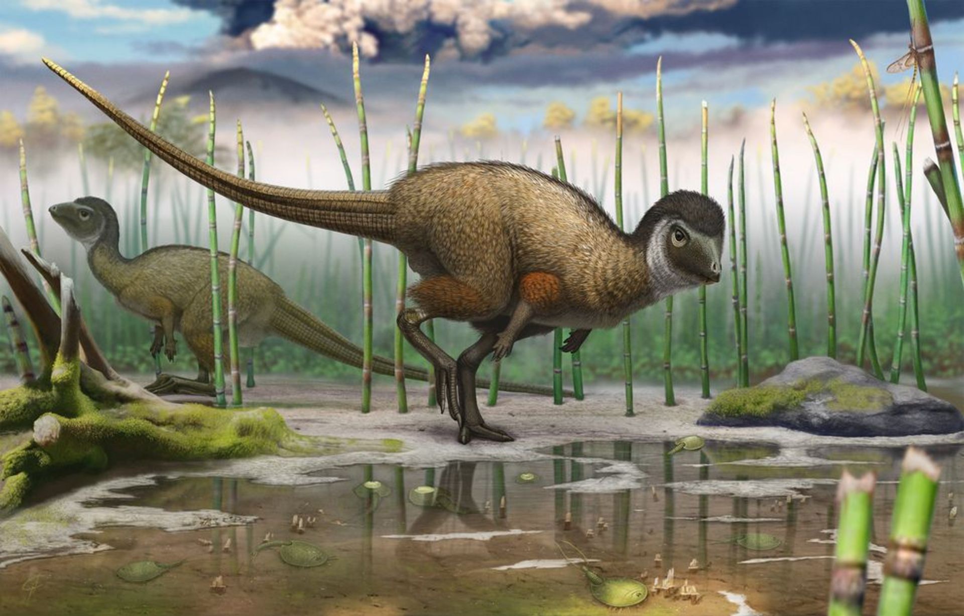 مرجع متخصصين ايران dinosaurs evolution / تكامل دايناسورها