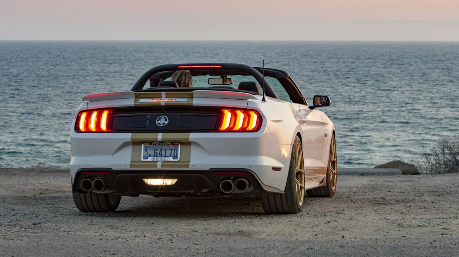 Mustang Shelby GT 2019