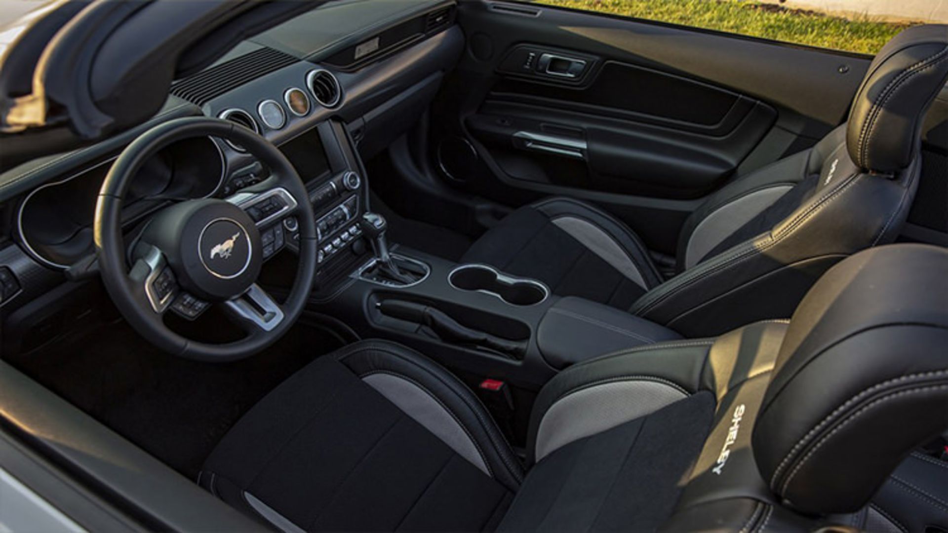 Mustang Shelby GT 2019