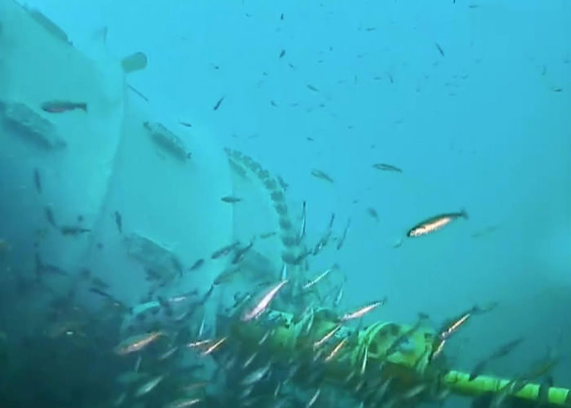 سرور زیرآب مایکروسافت