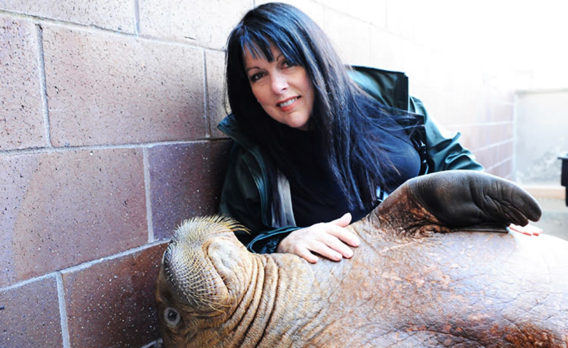 قورباغه‌ها جواهرات زیبای طبیعت