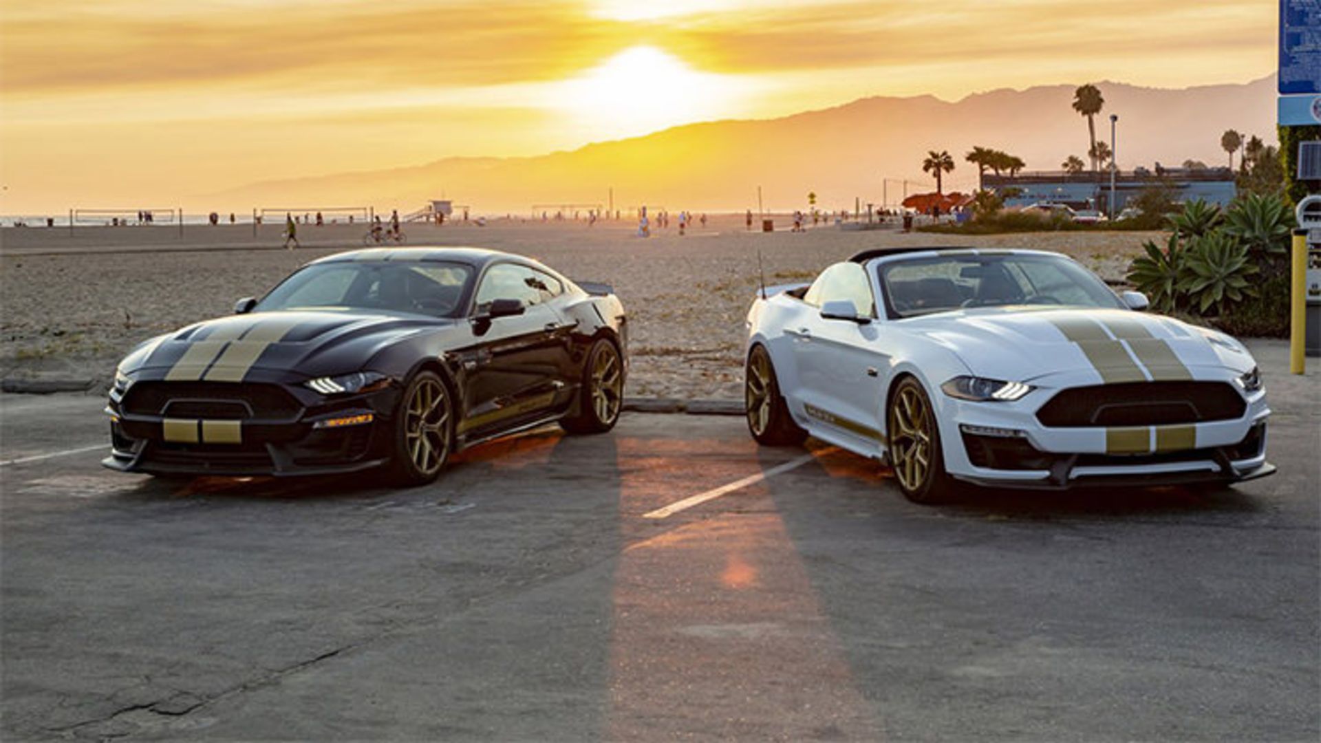 Mustang Shelby GT 2019