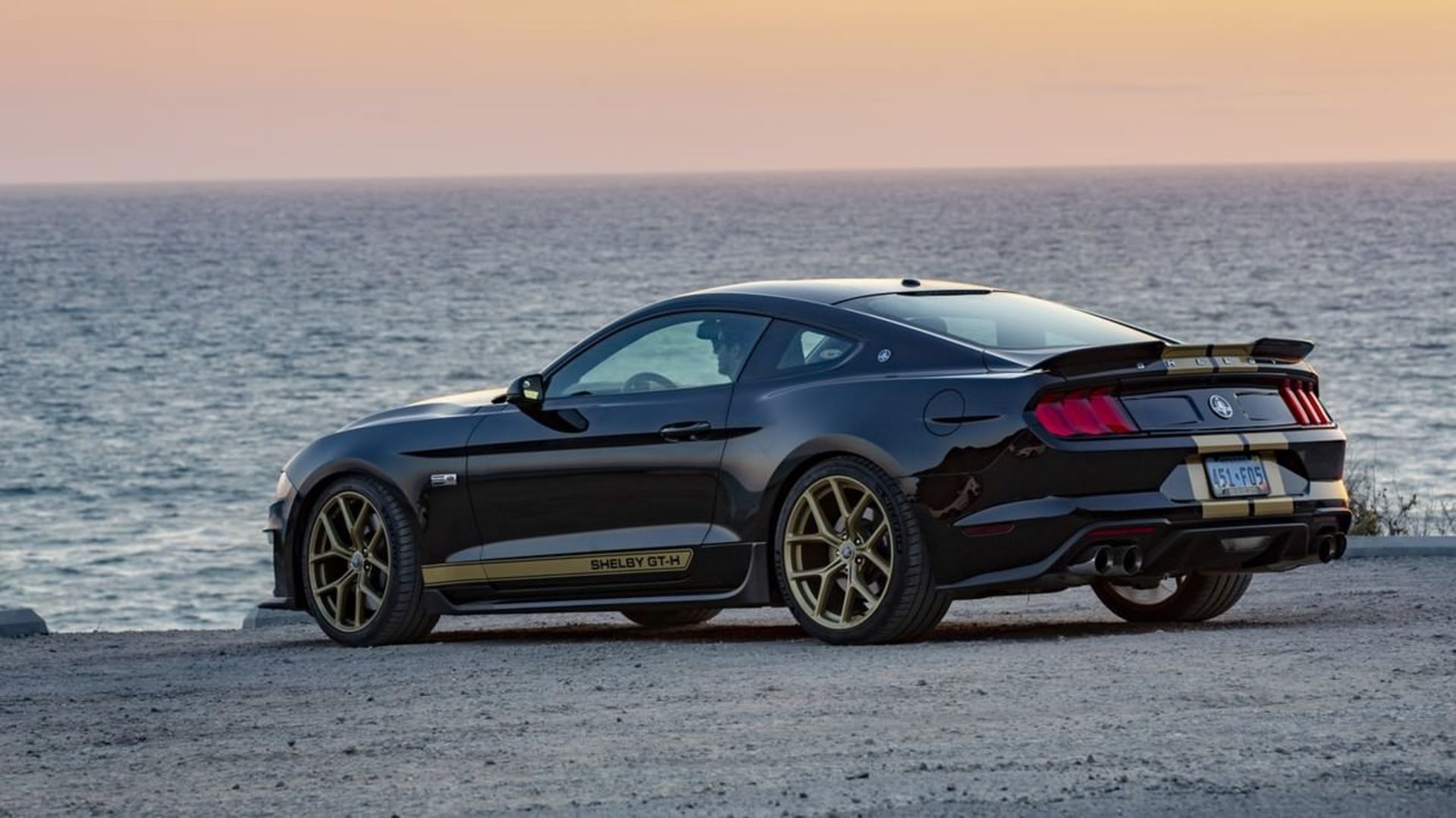 Mustang Shelby GT 2019