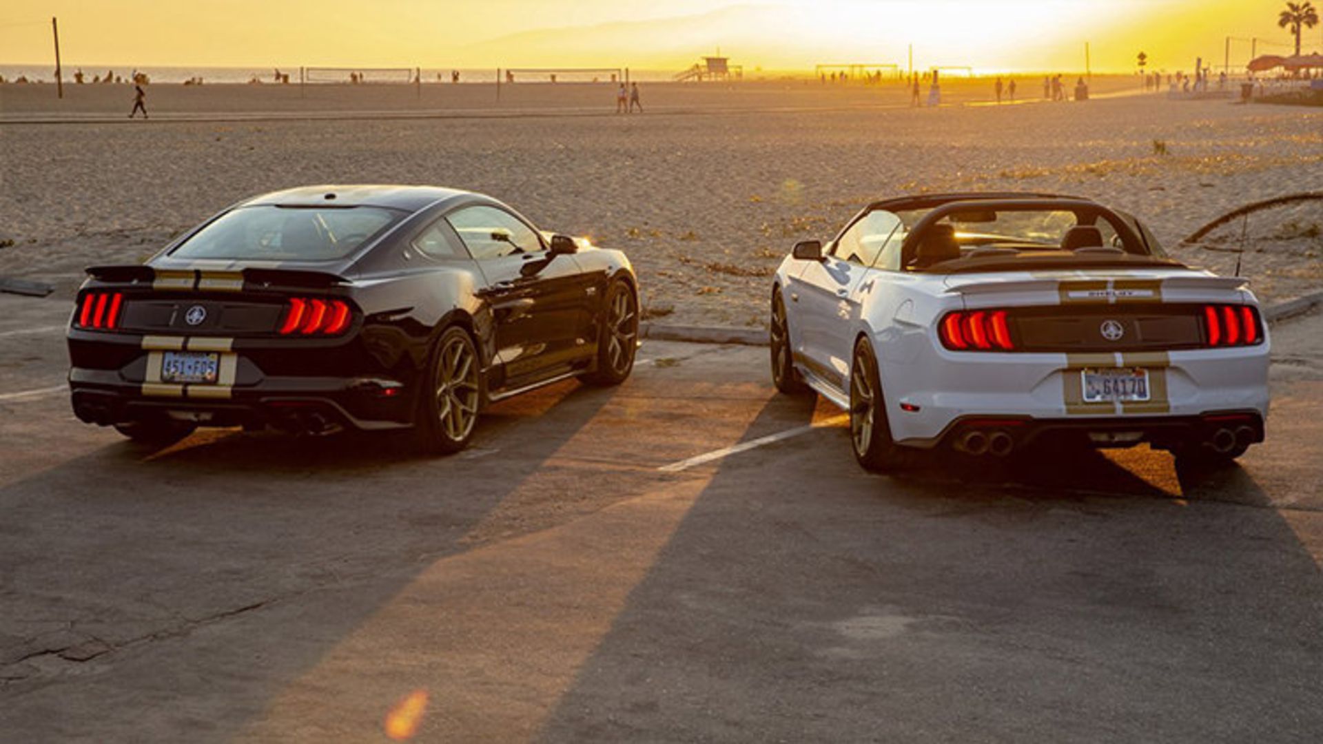Mustang Shelby GT 2019