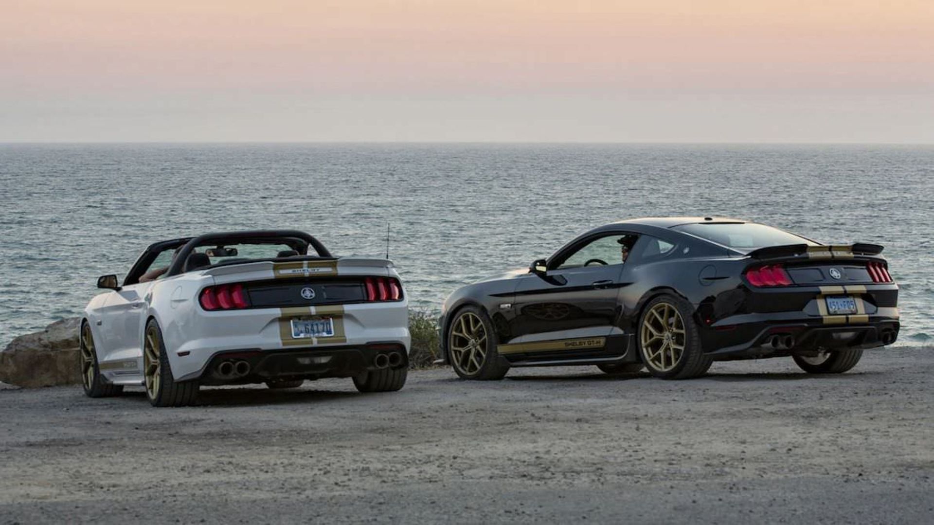 Mustang Shelby GT 2019