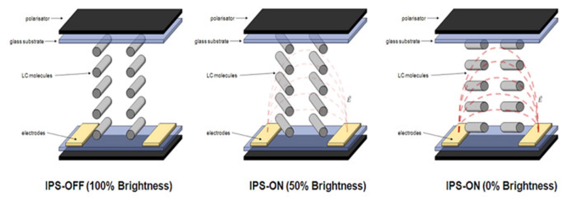 ساختار پنل ips