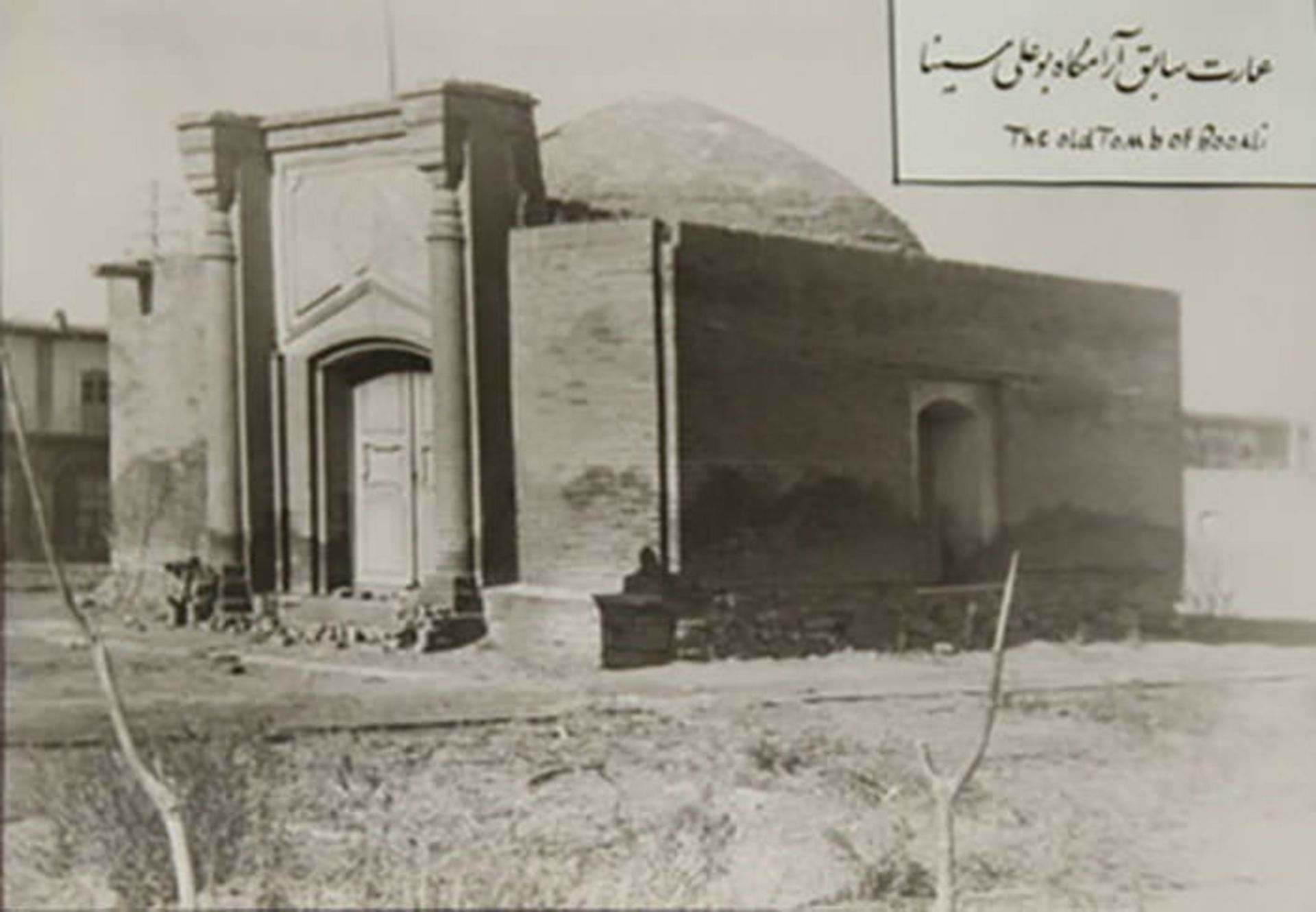 ابن سینا / avicenna