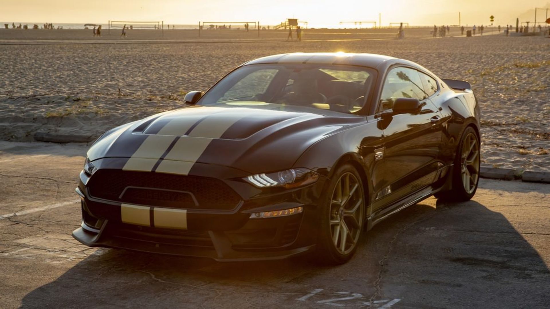 Mustang Shelby GT 2019