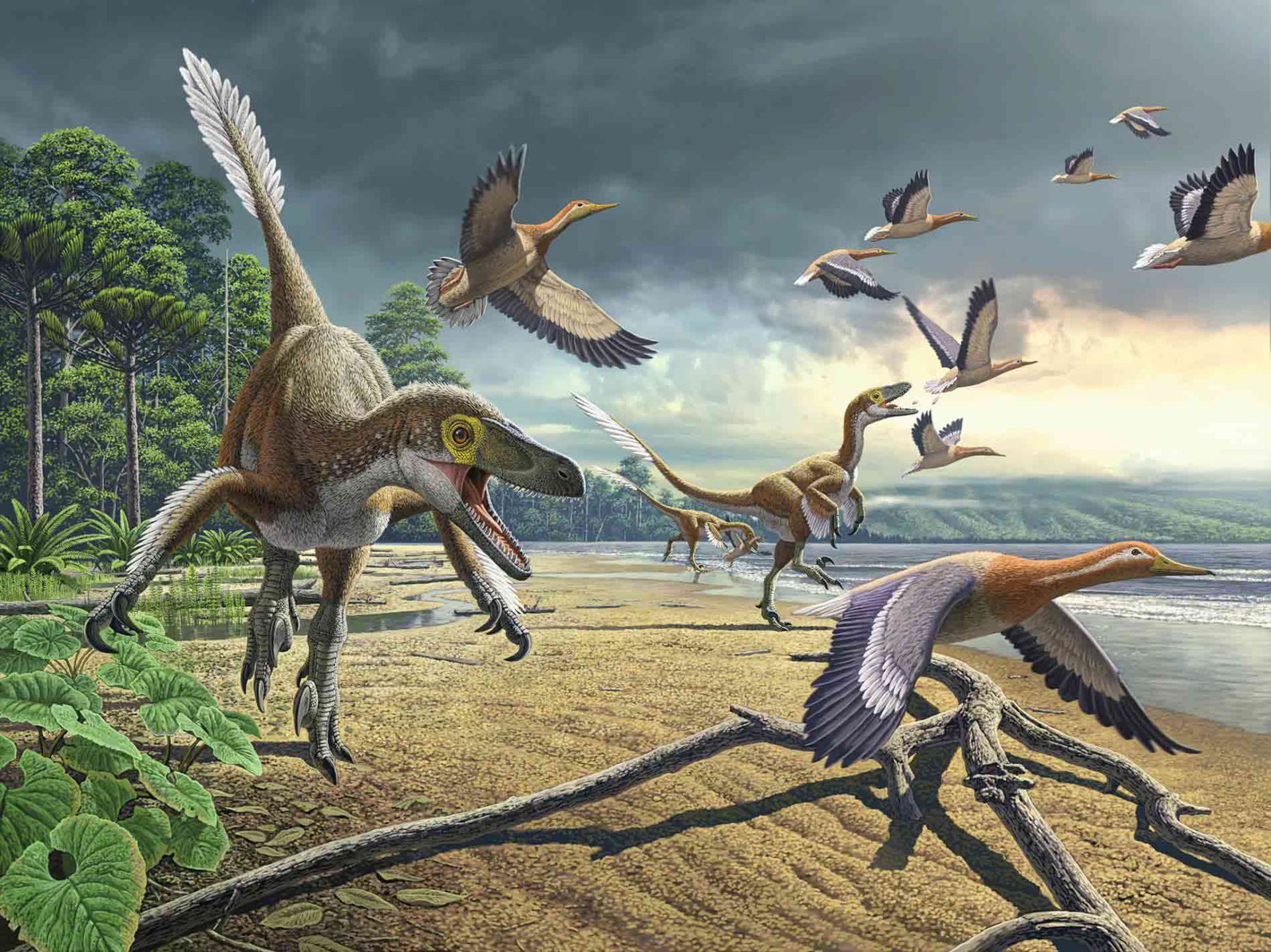 مرجع متخصصين ايران تبديل دايناسورها به پرنده/ dinosaurs became birds