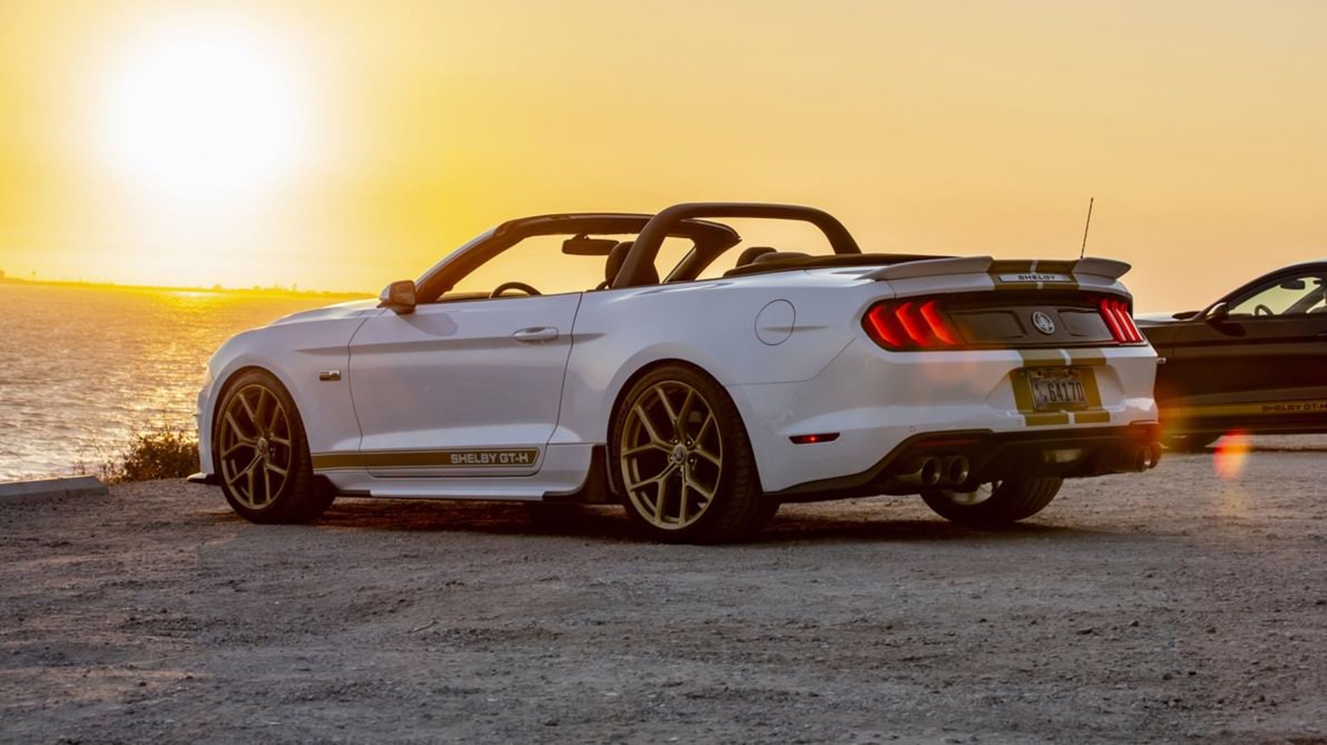 Mustang Shelby GT 2019