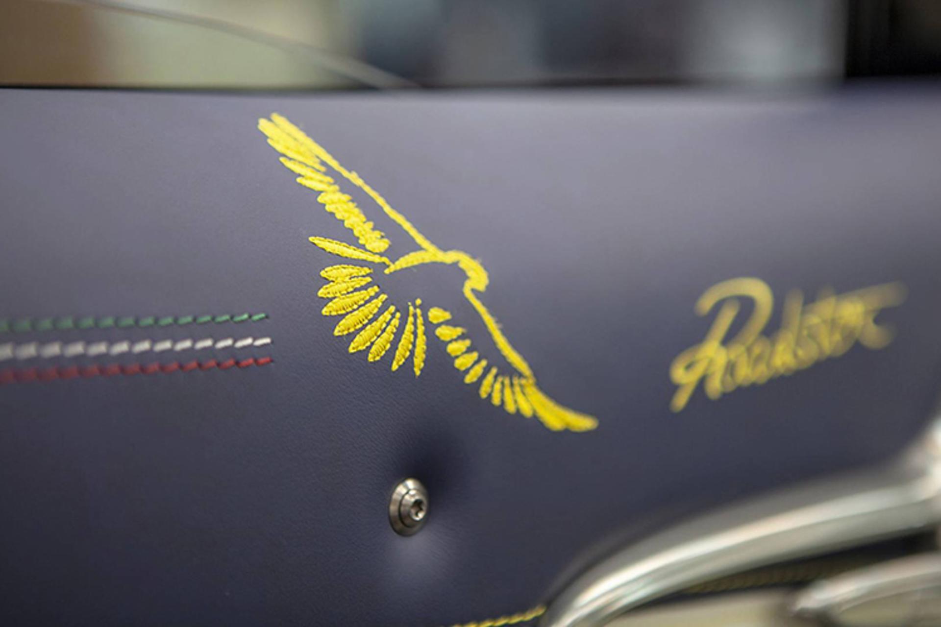 Gyrfalcon pagani