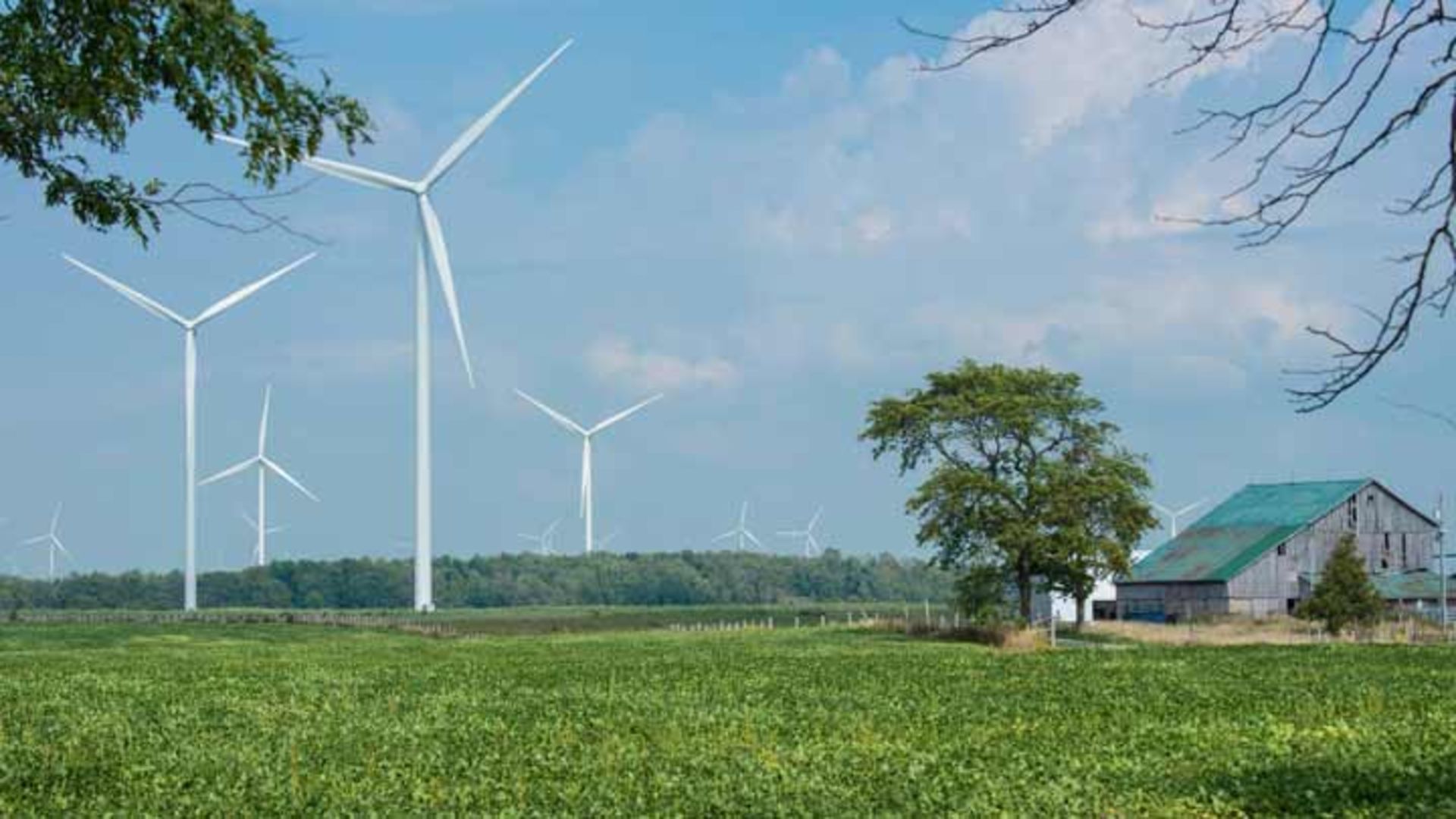 آینده انرژی بادی: آیا در همه‌جای دنیا توربین‌های بادی خواهیم دید؟