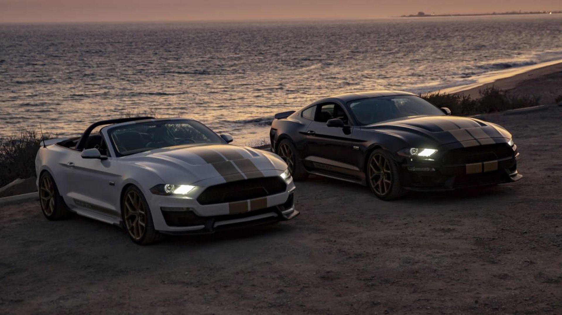 Mustang Shelby GT 2019
