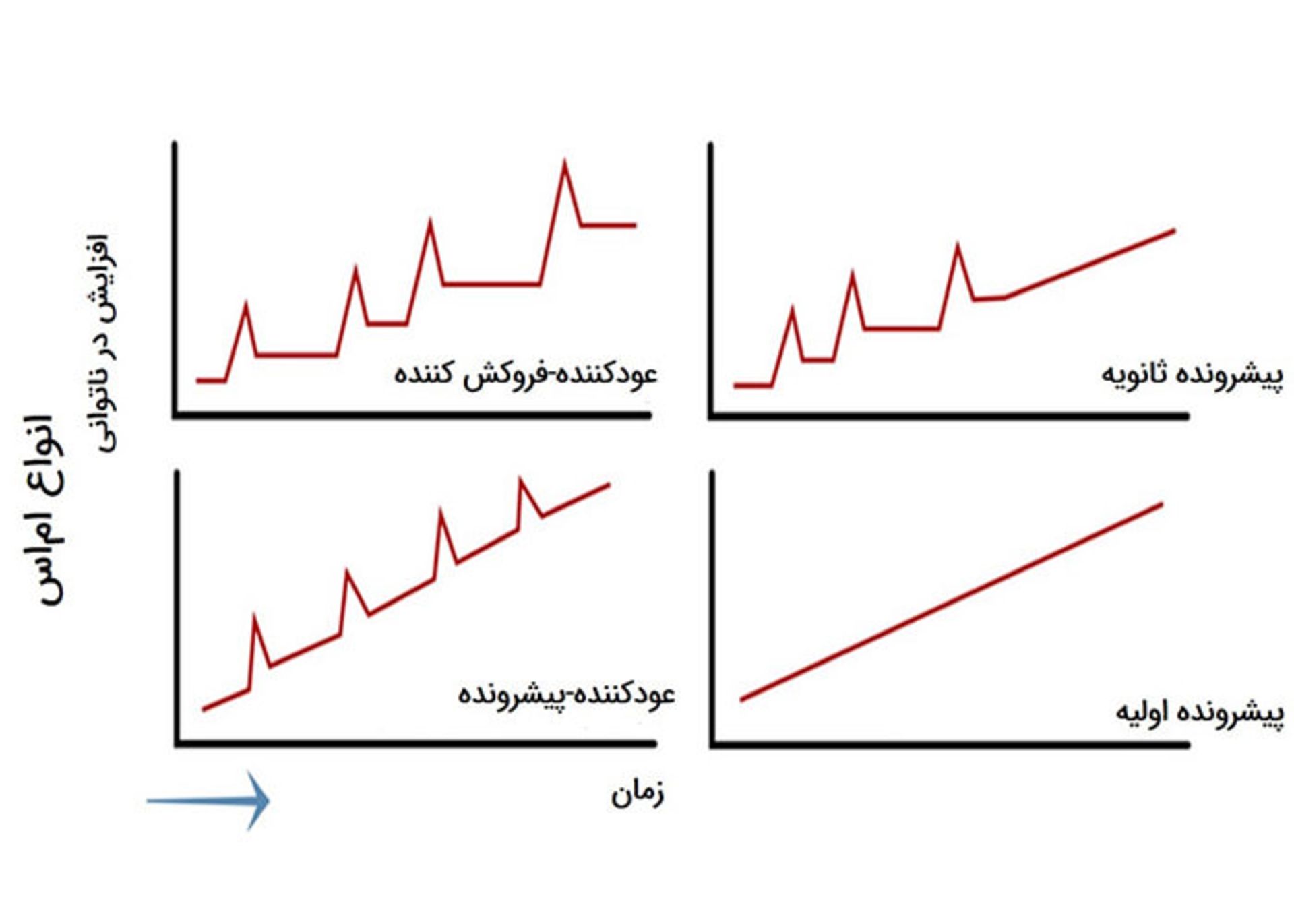 انواع ام اس