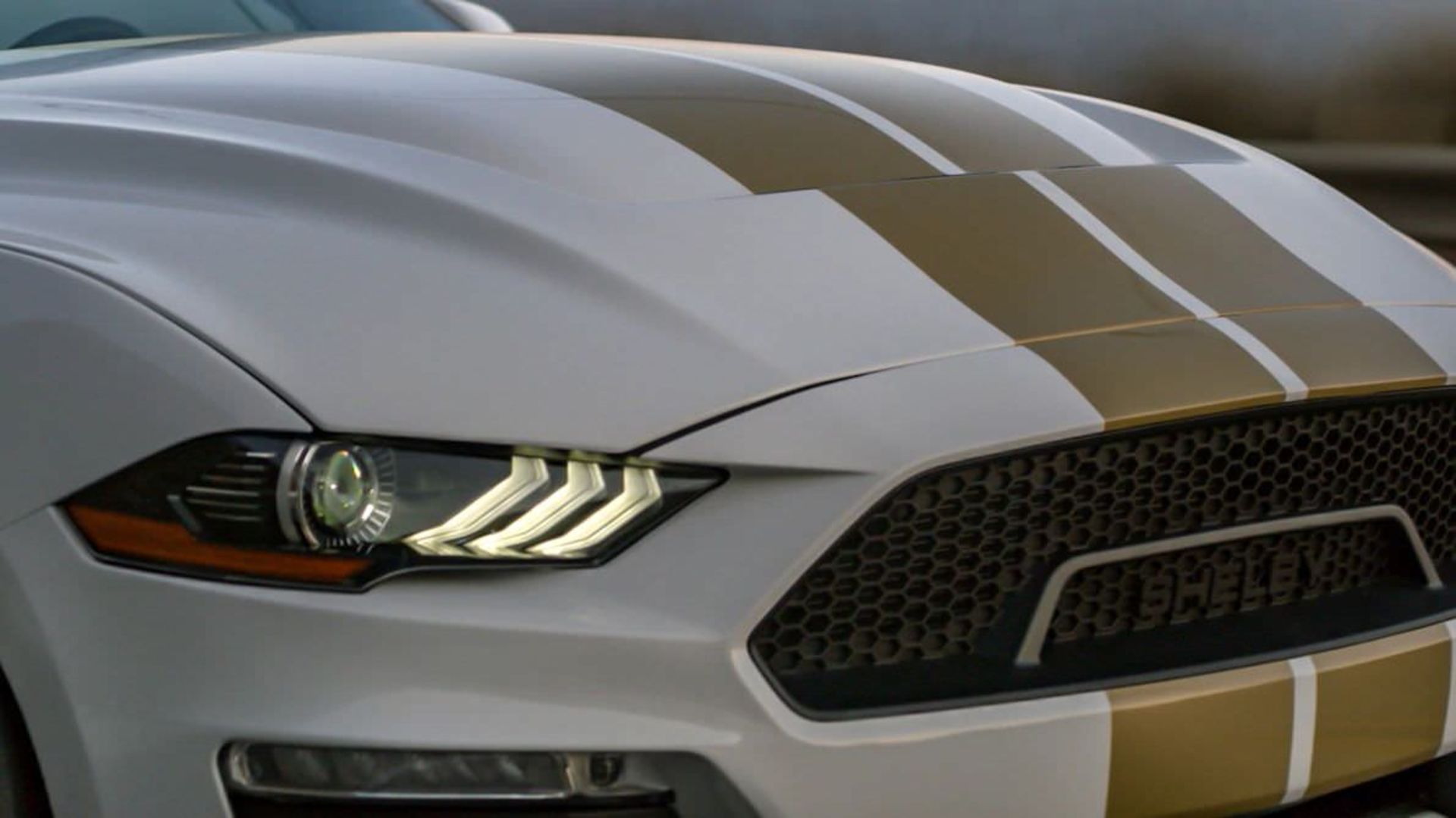 Mustang Shelby GT 2019