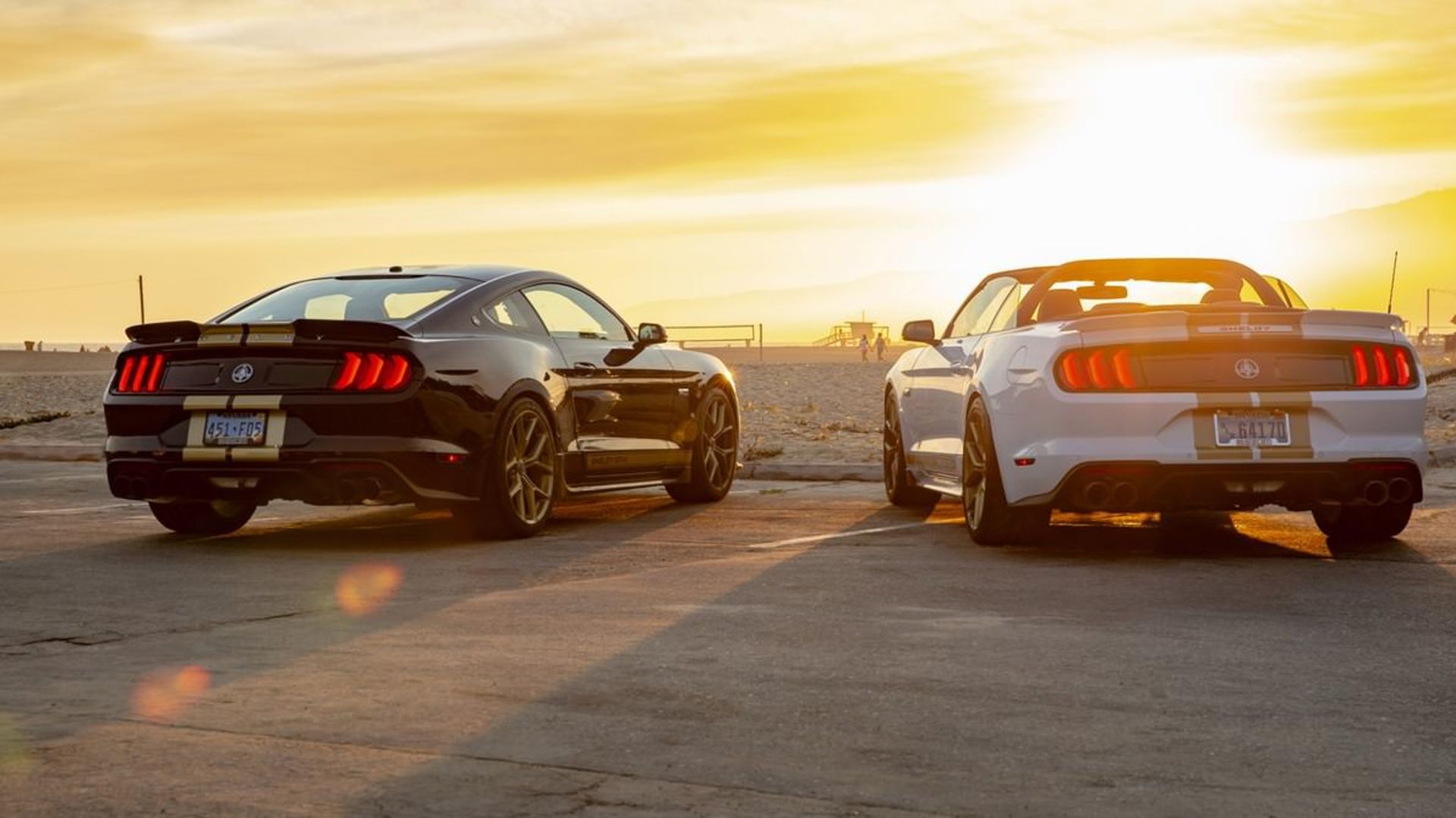 Mustang Shelby GT 2019